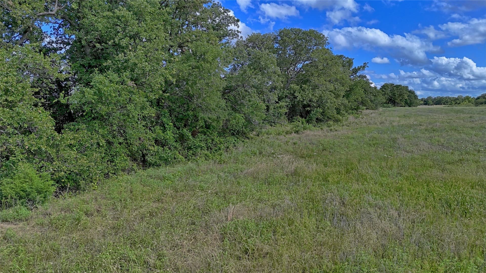 26.61 acres in Montague County - photo 8