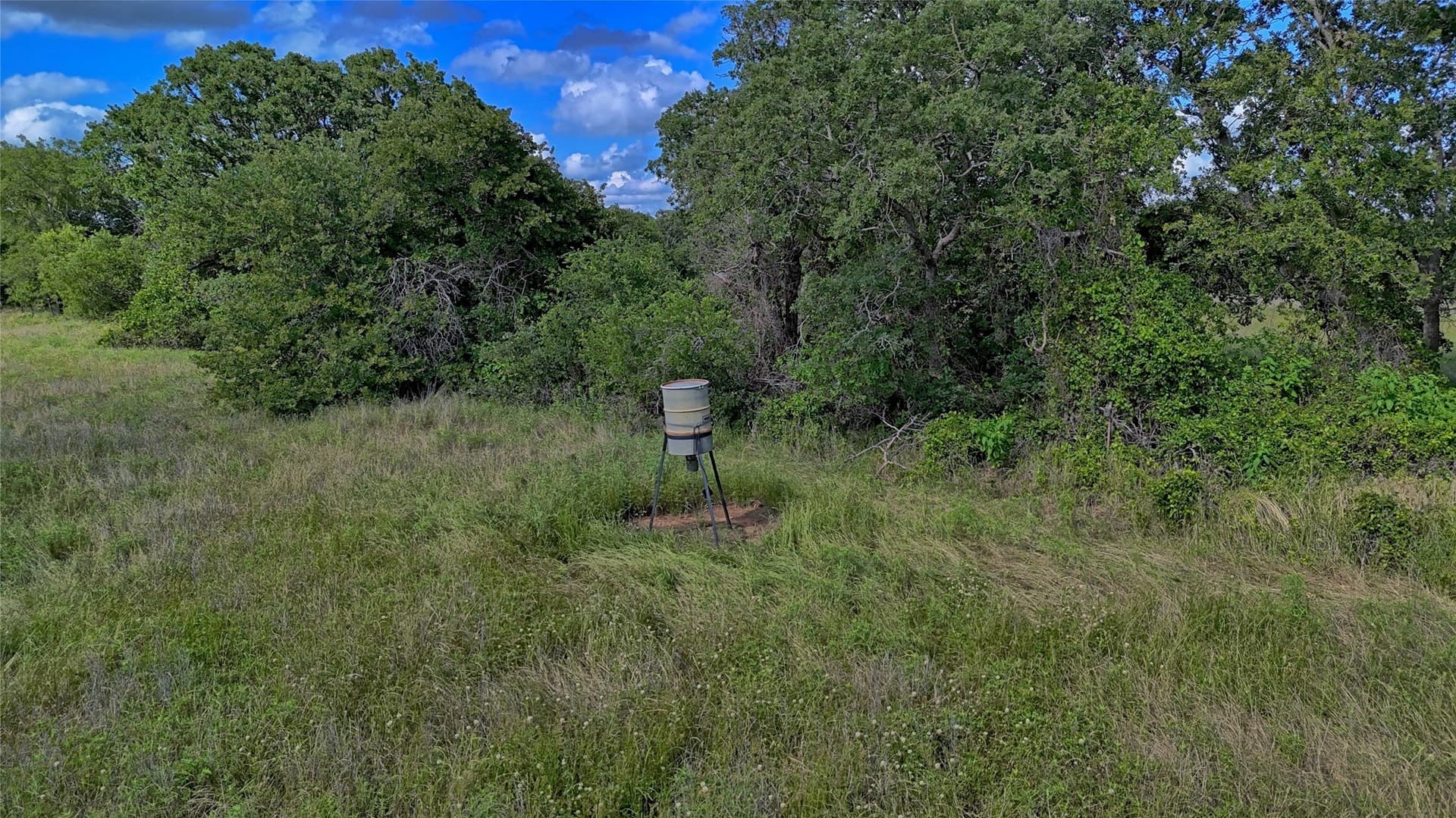 26.61 acres in Montague County - photo 10