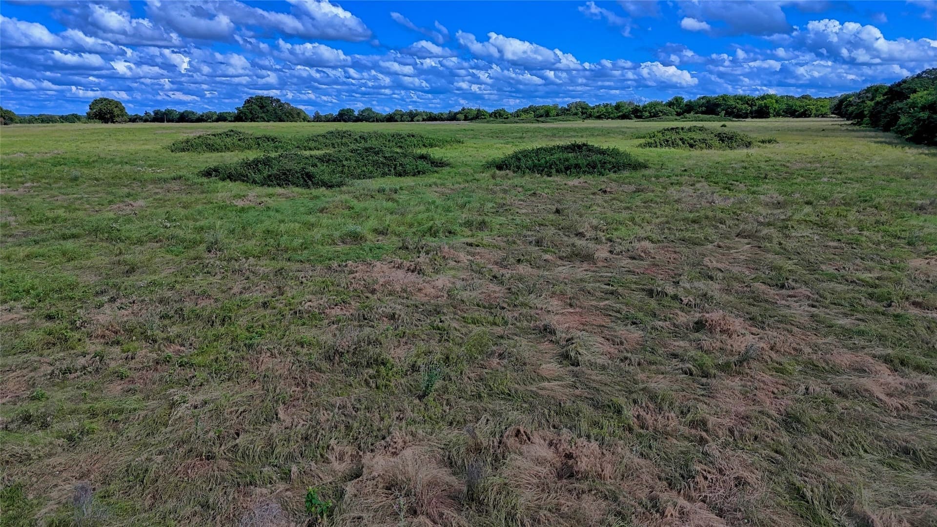 26.61 acres in Montague County - photo 6