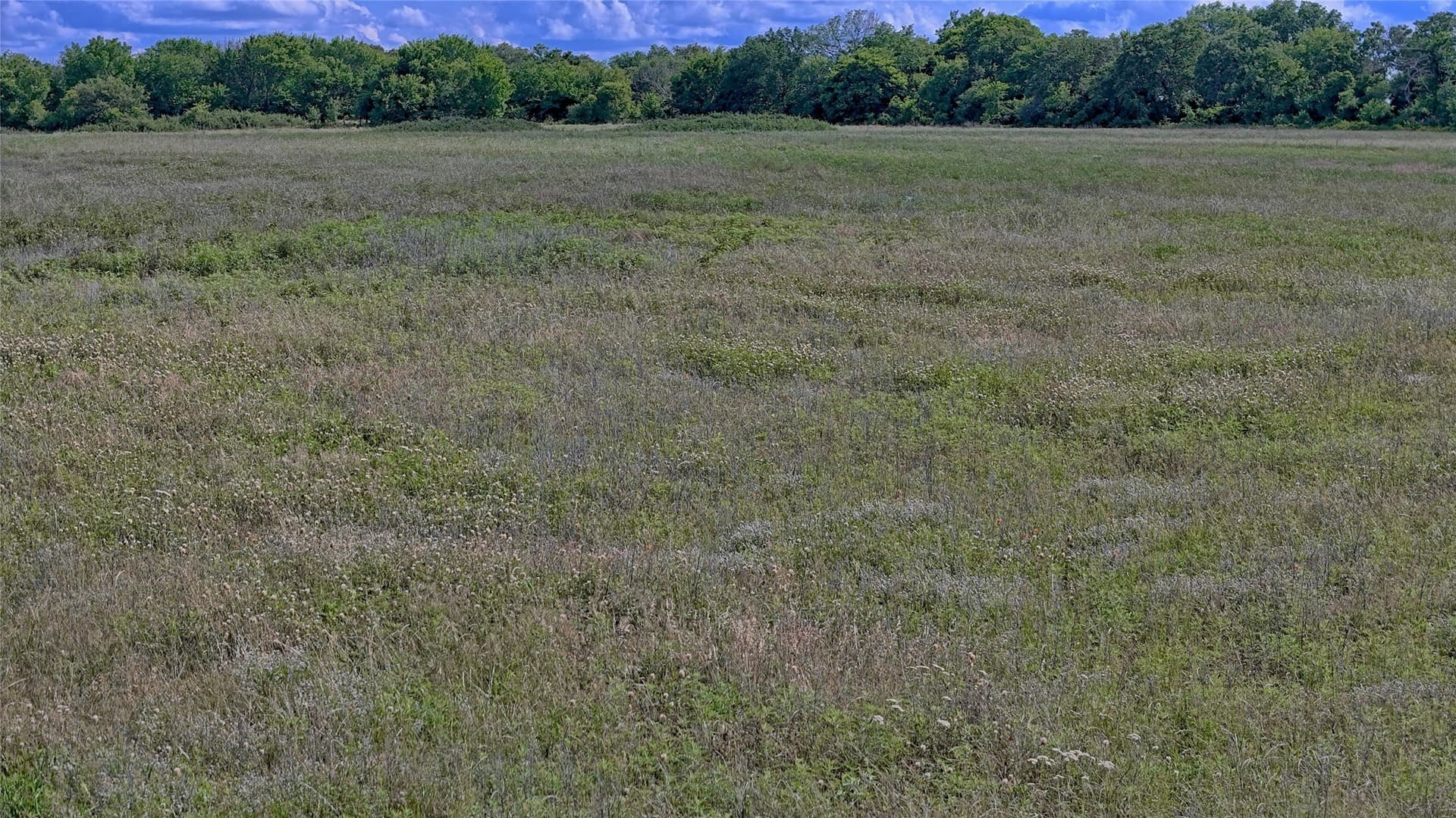 26.61 acres in Montague County - photo 11