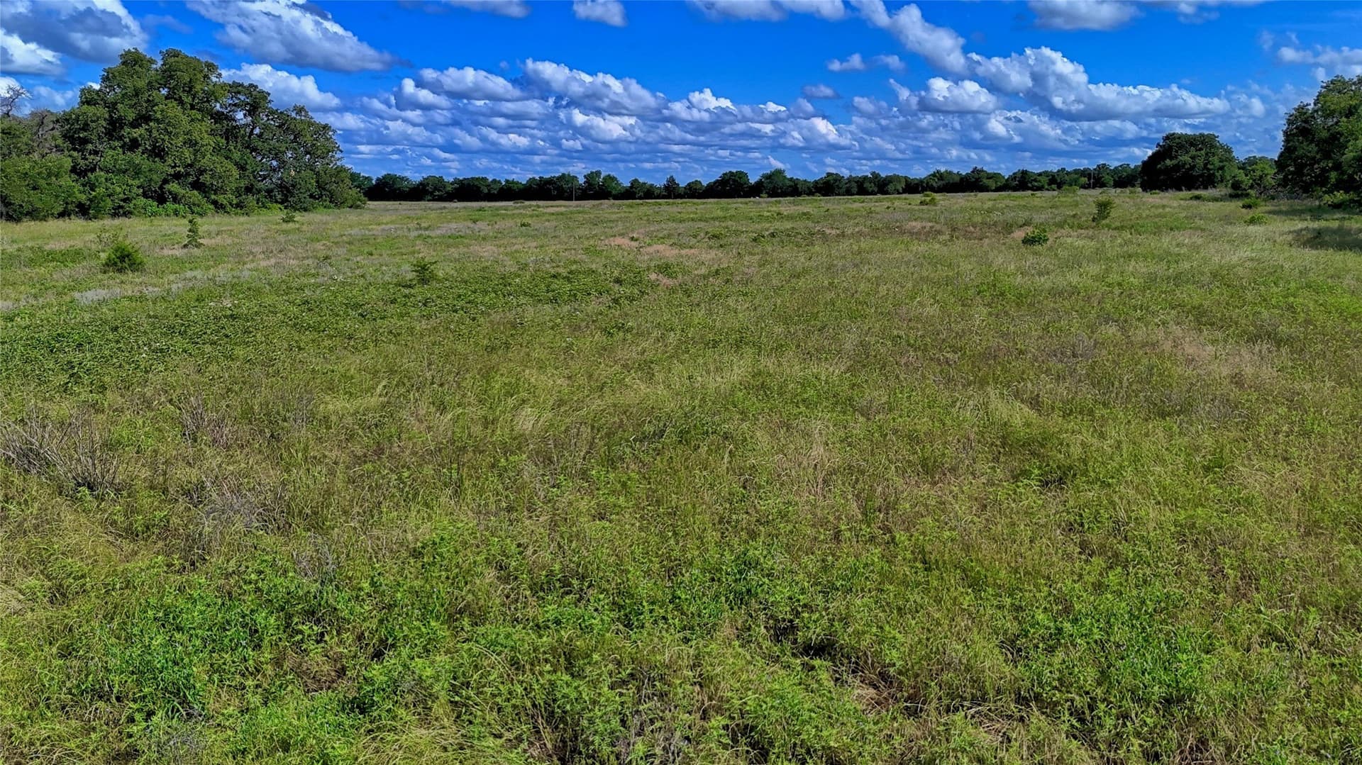 26.61 acres in Montague County featured view