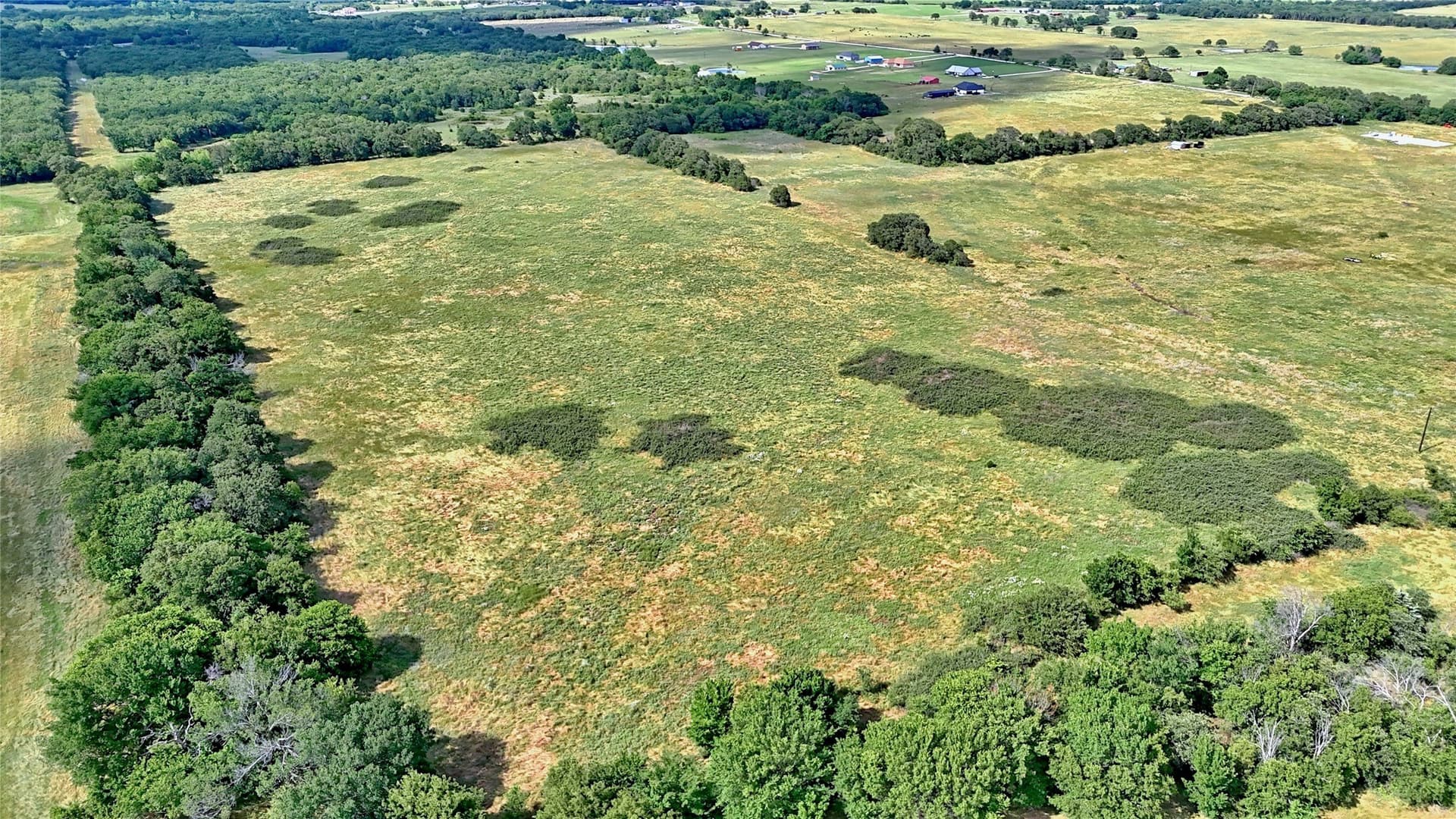 26.61 acres in Montague County gallery image 4