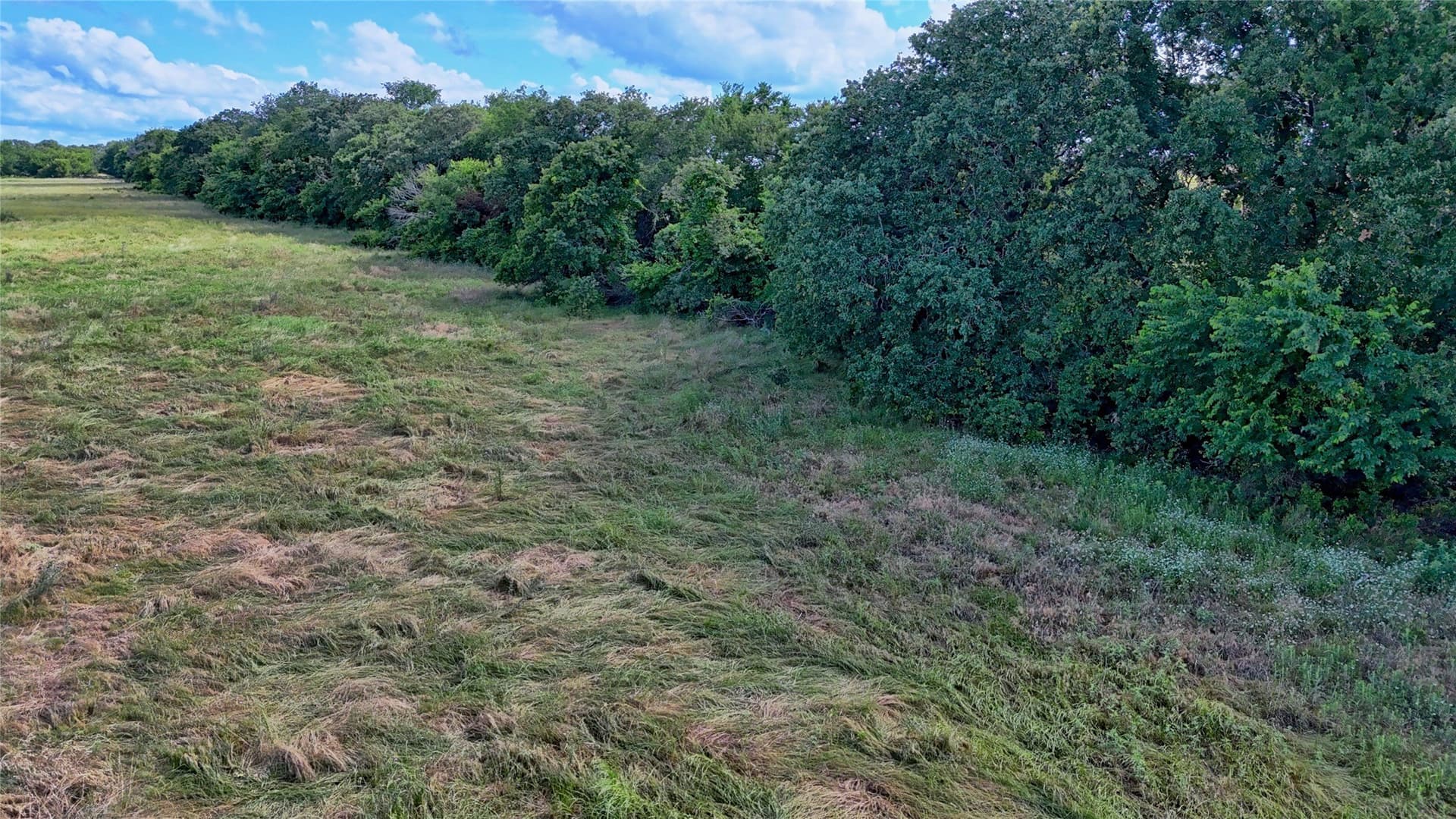 26.61 acres in Montague County - photo 7