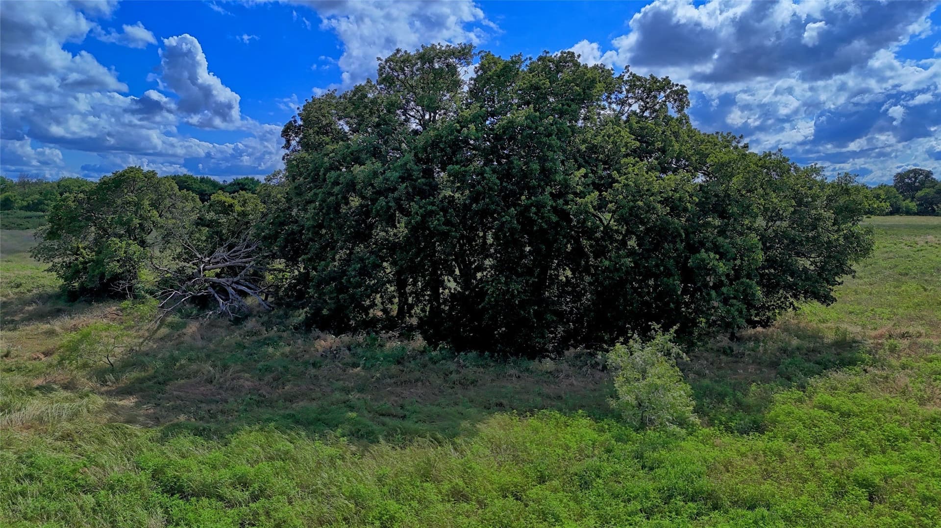 26.61 acres in Montague County - photo 13