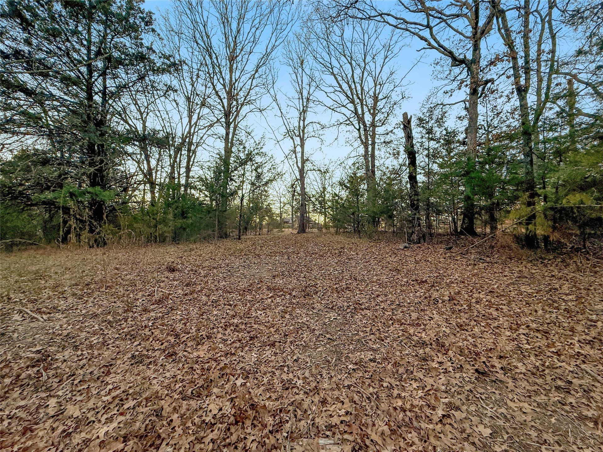 0.71 acres in Rains County - photo 19
