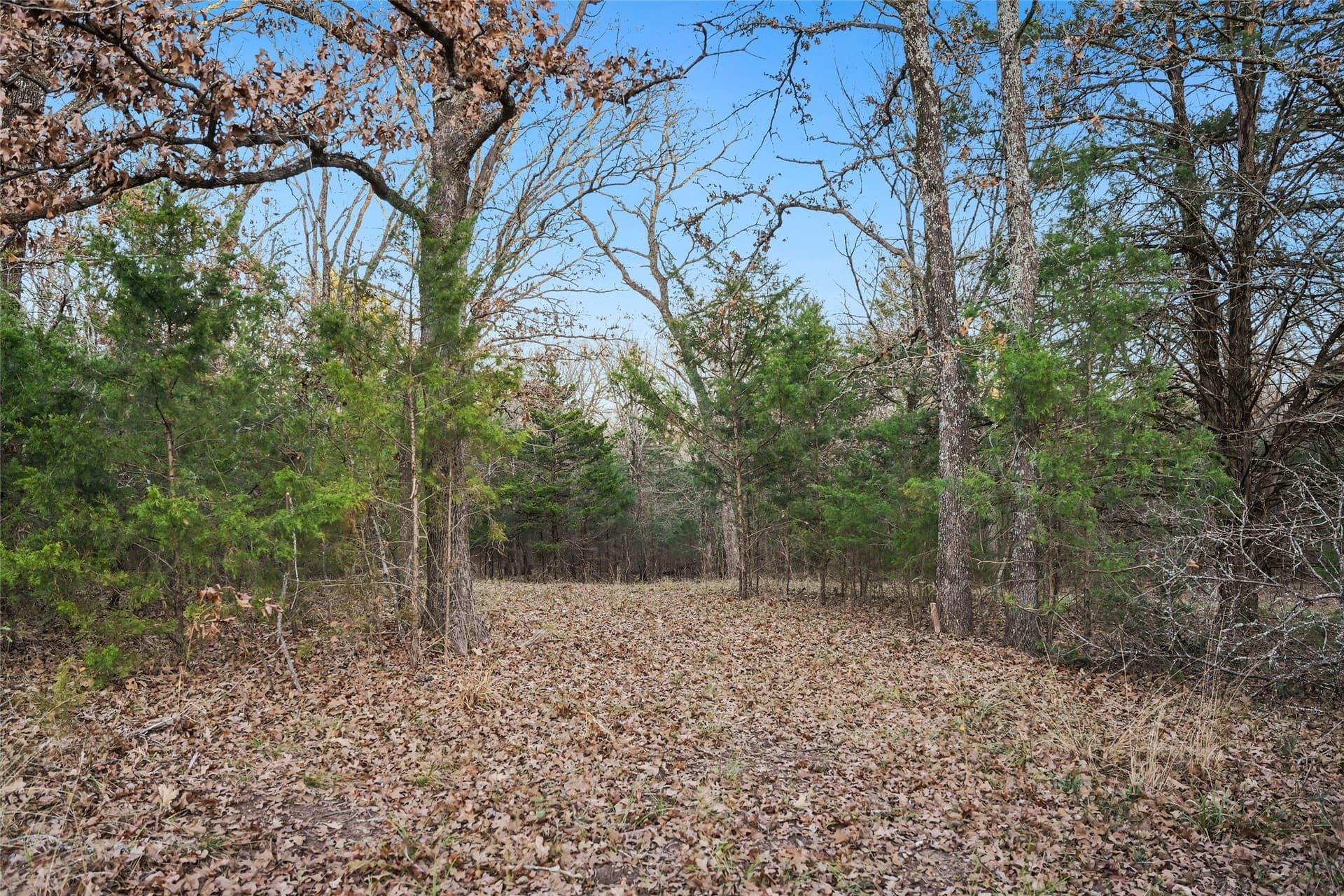 0.71 acres in Rains County featured view