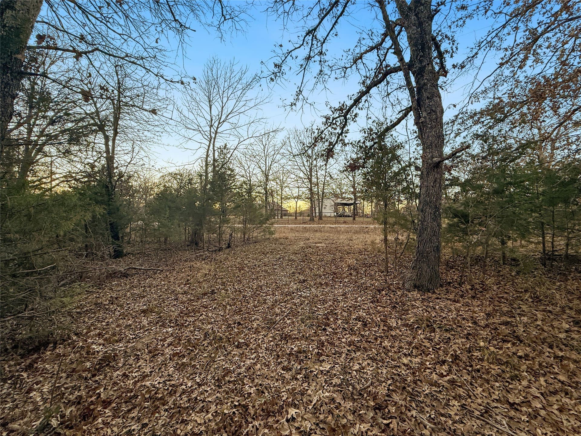 0.71 acres in Rains County - photo 20