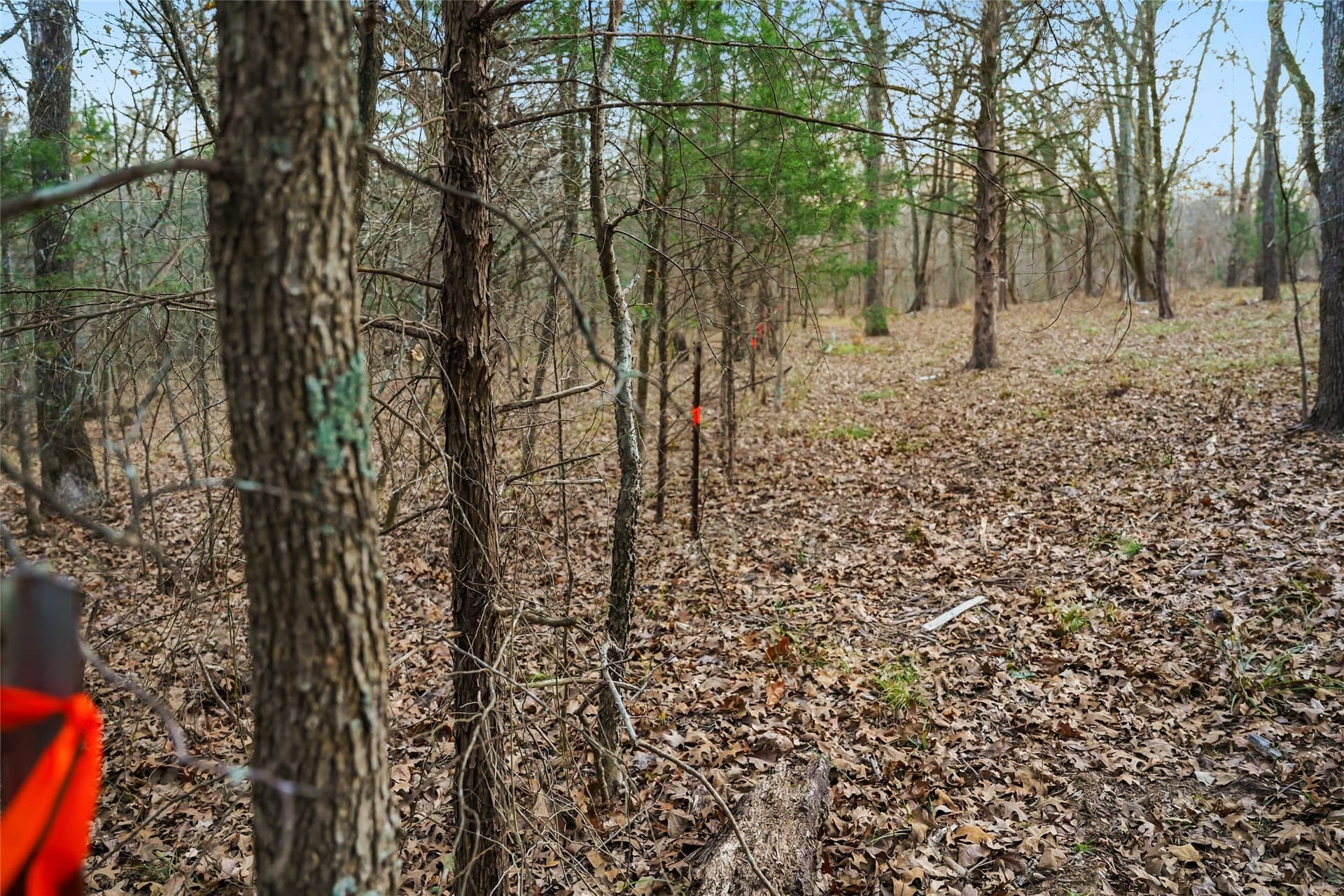 0.71 acres in Rains County - photo 12
