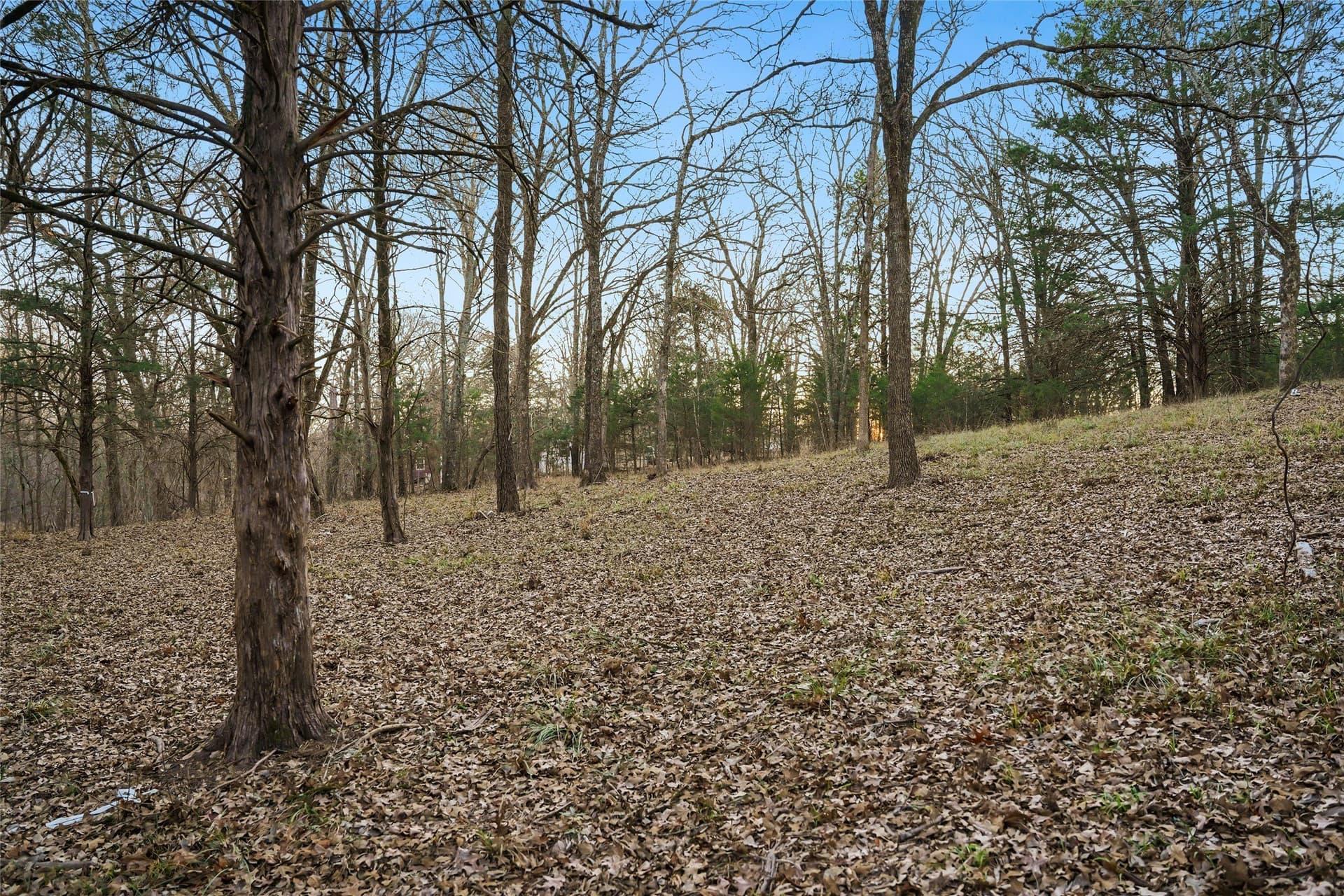 0.71 acres in Rains County - photo 13