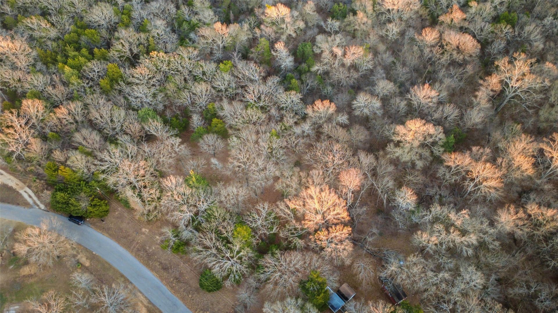 0.71 acres in Rains County - photo 24