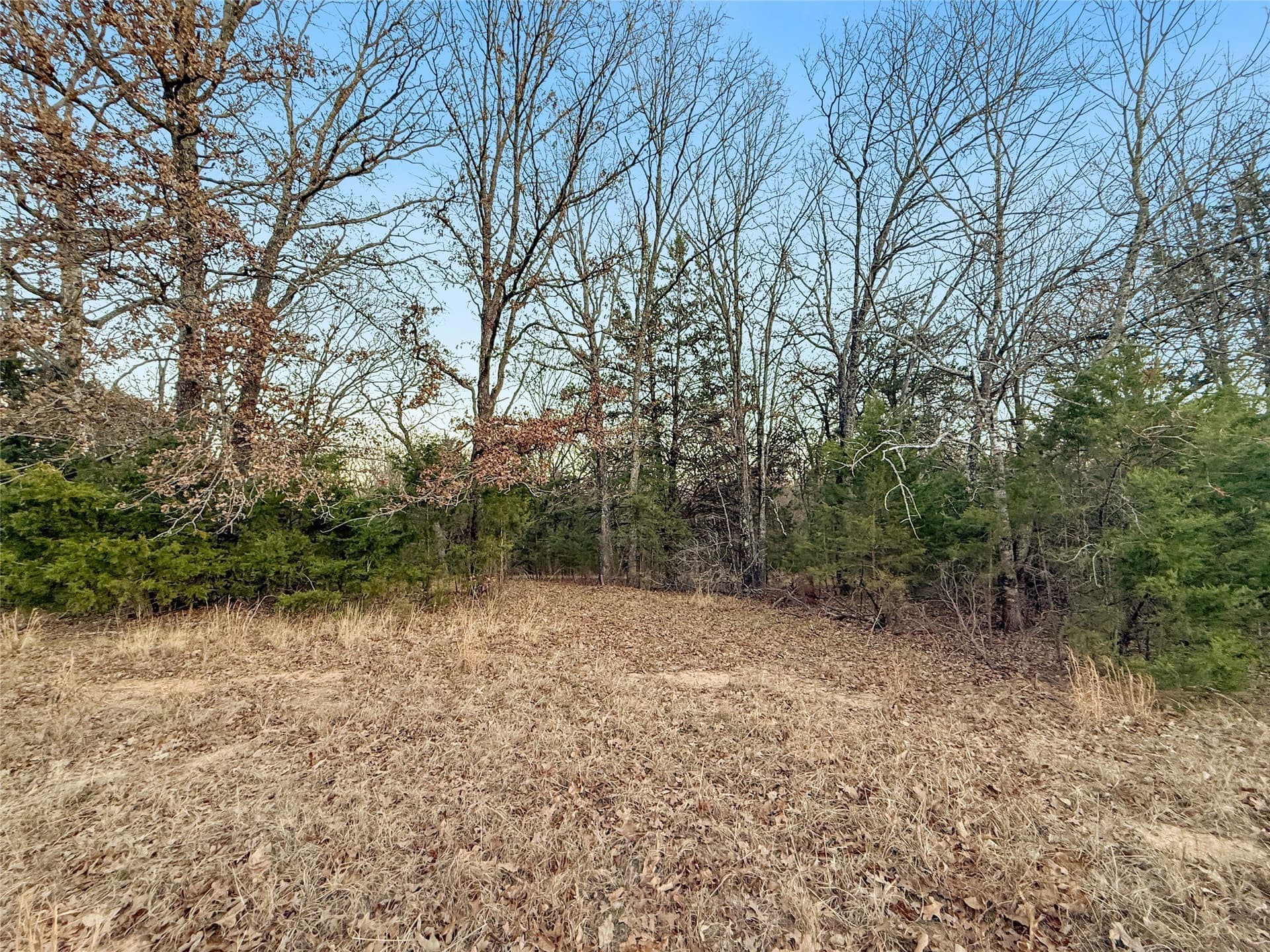 0.71 acres in Rains County - photo 14