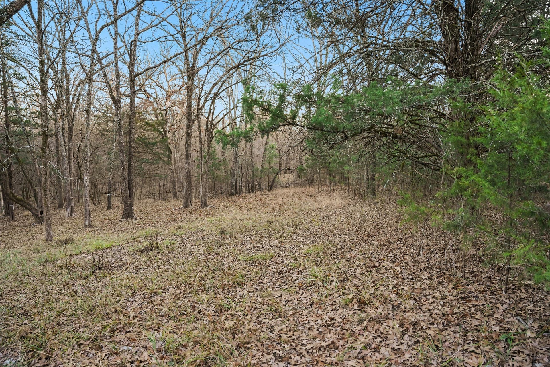 0.71 acres in Rains County - photo 6