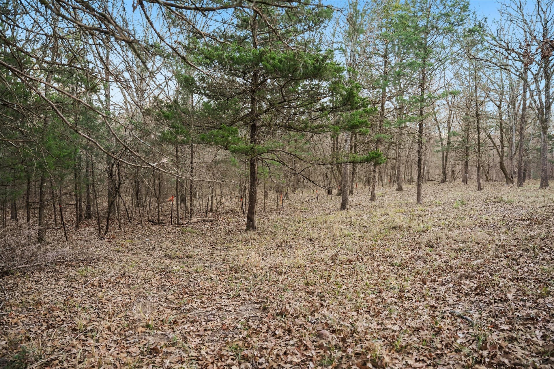 0.71 acres in Rains County - photo 10