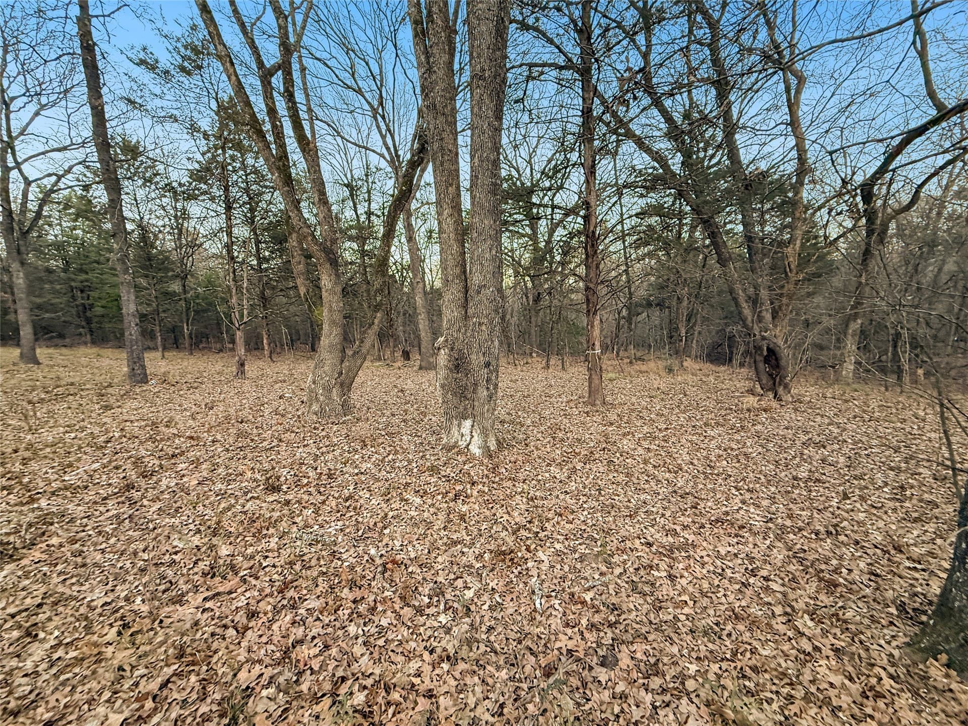 0.71 acres in Rains County - photo 17