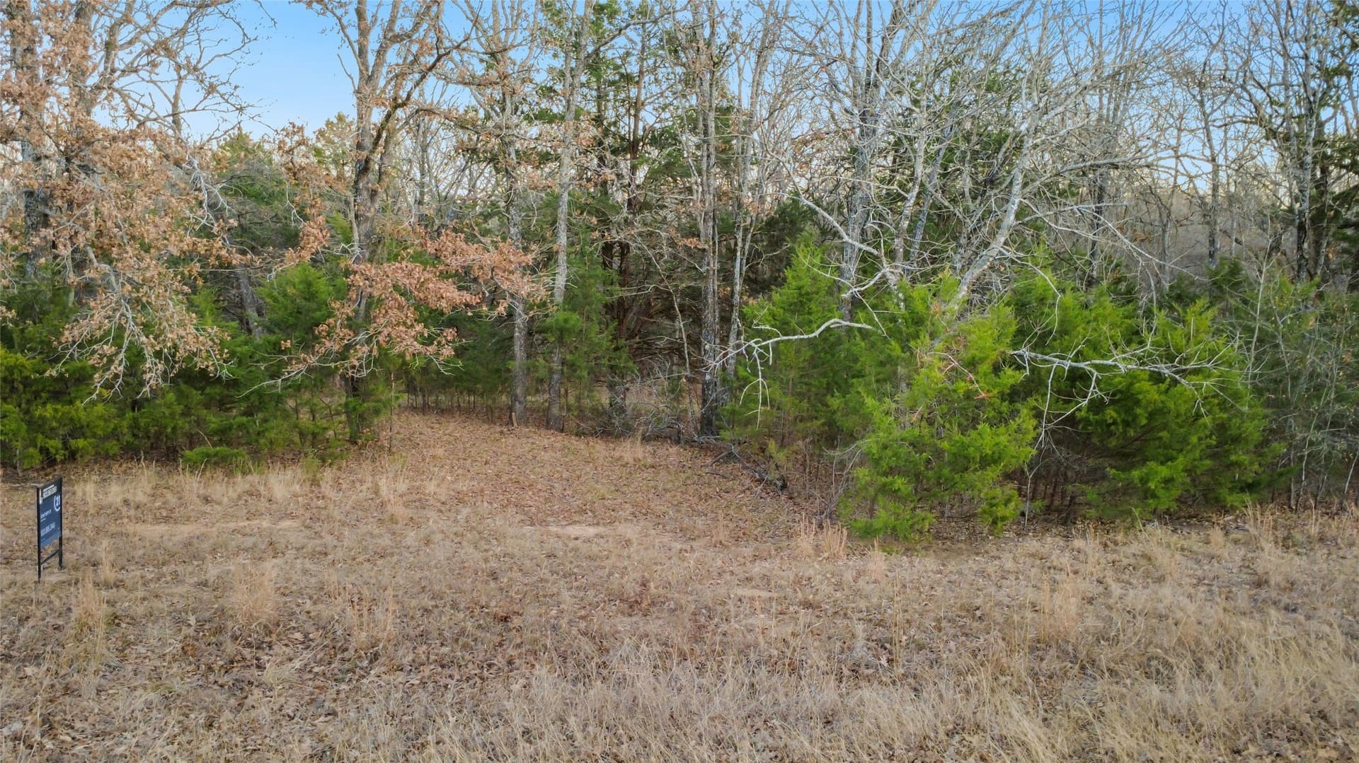 0.71 acres in Rains County gallery image 3