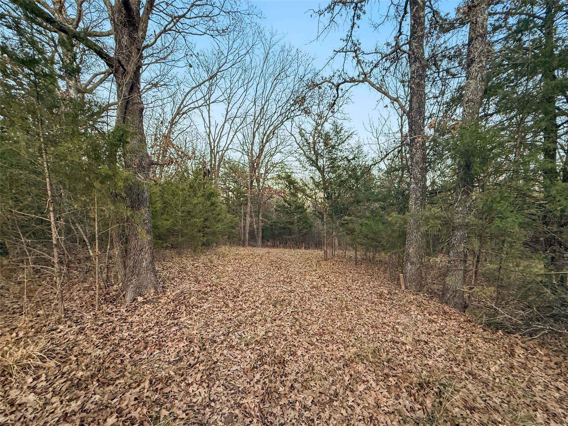 0.71 acres in Rains County - photo 15
