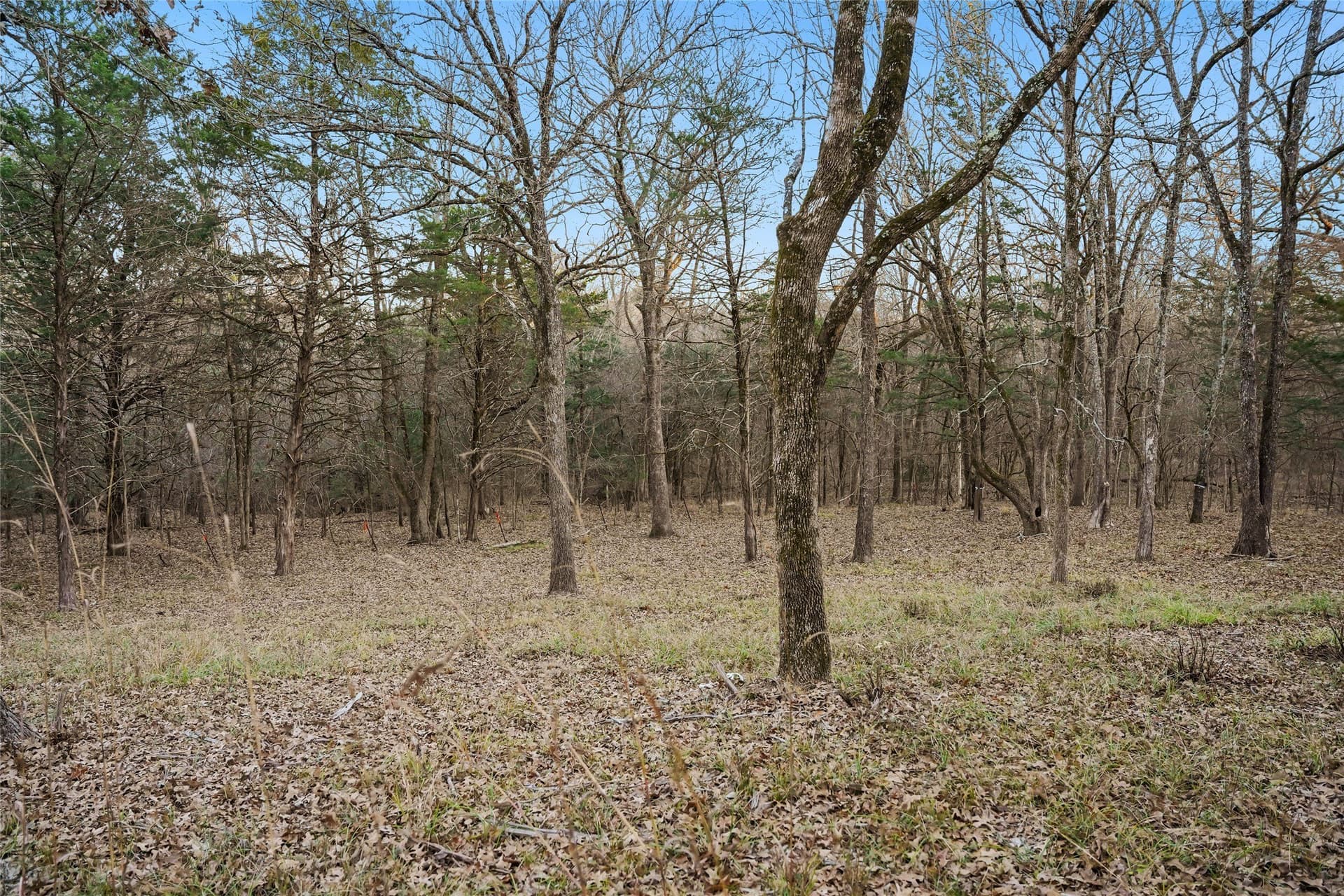 0.71 acres in Rains County - photo 7