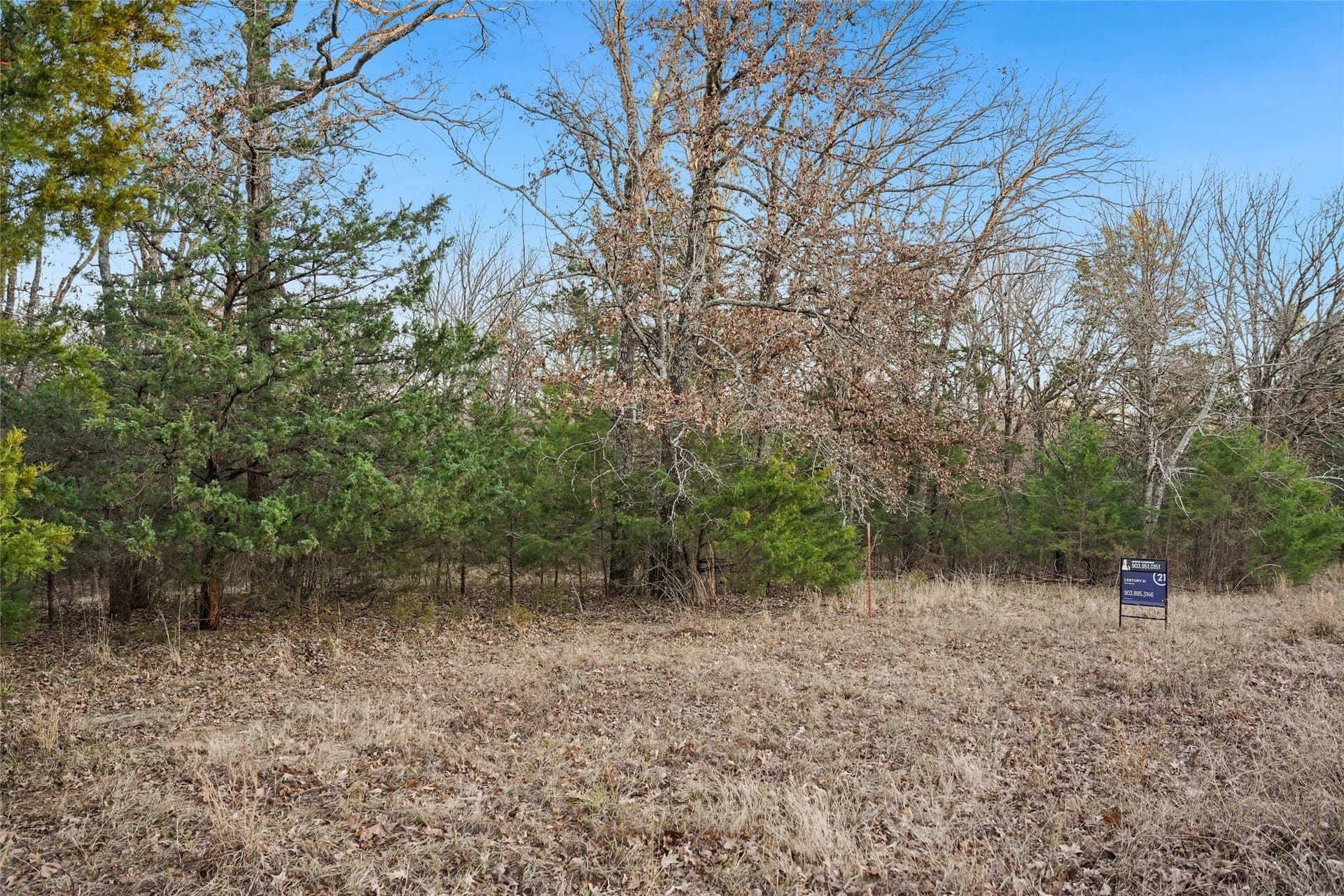 0.71 acres in Rains County gallery image 4