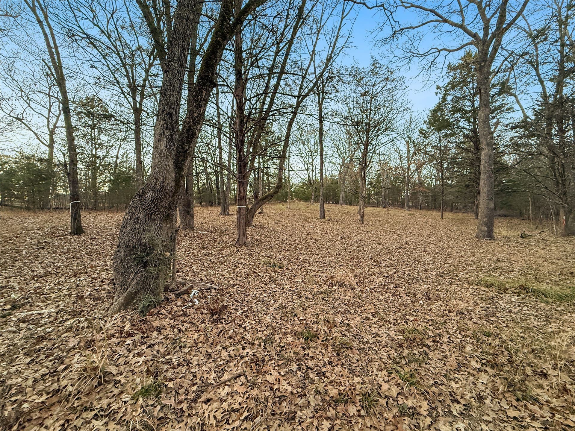 0.71 acres in Rains County - photo 18