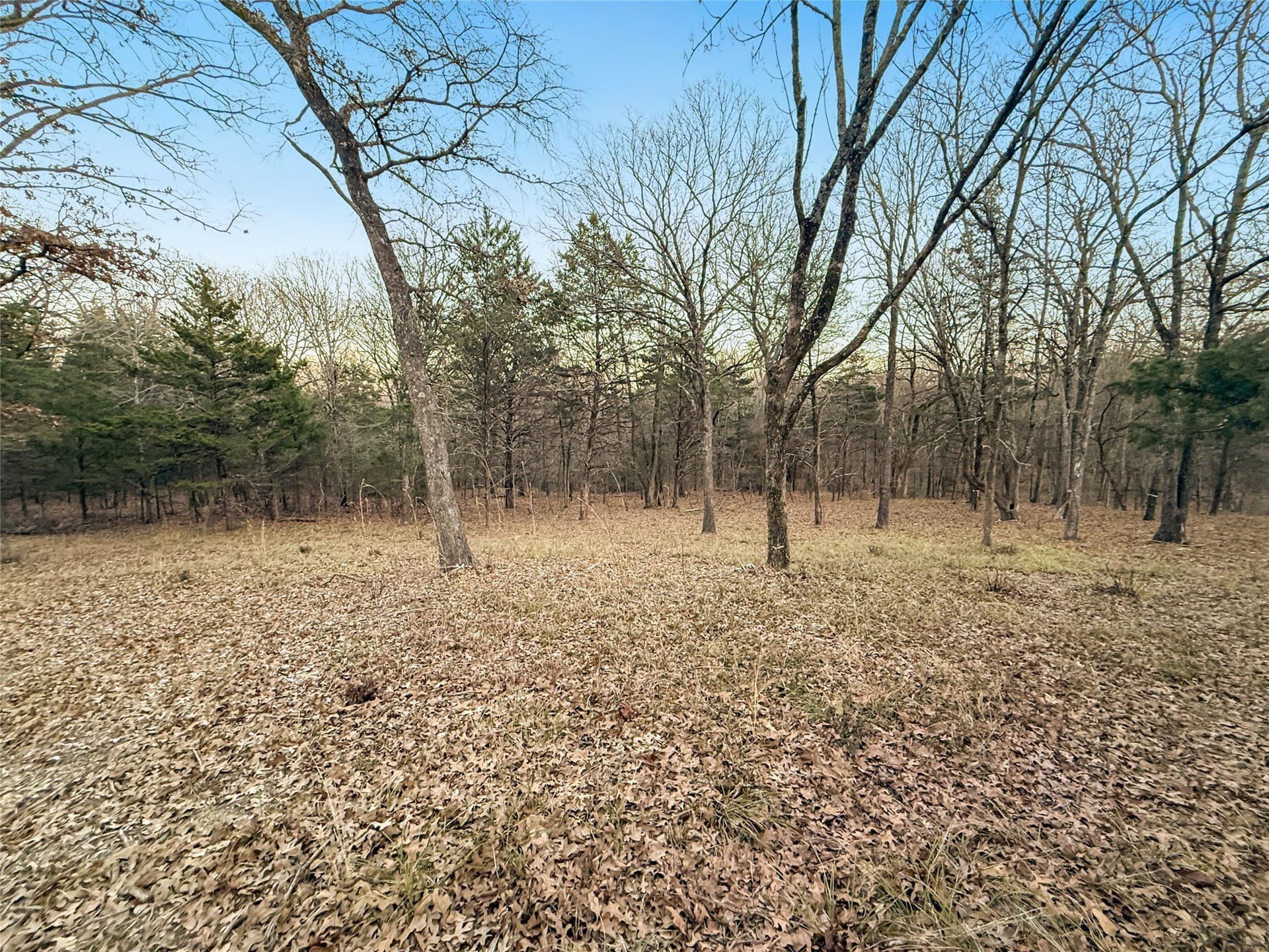 0.71 acres in Rains County - photo 16