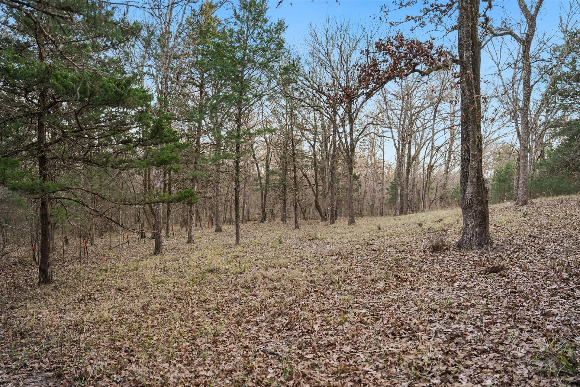 0.71 acres in Rains County - photo 11