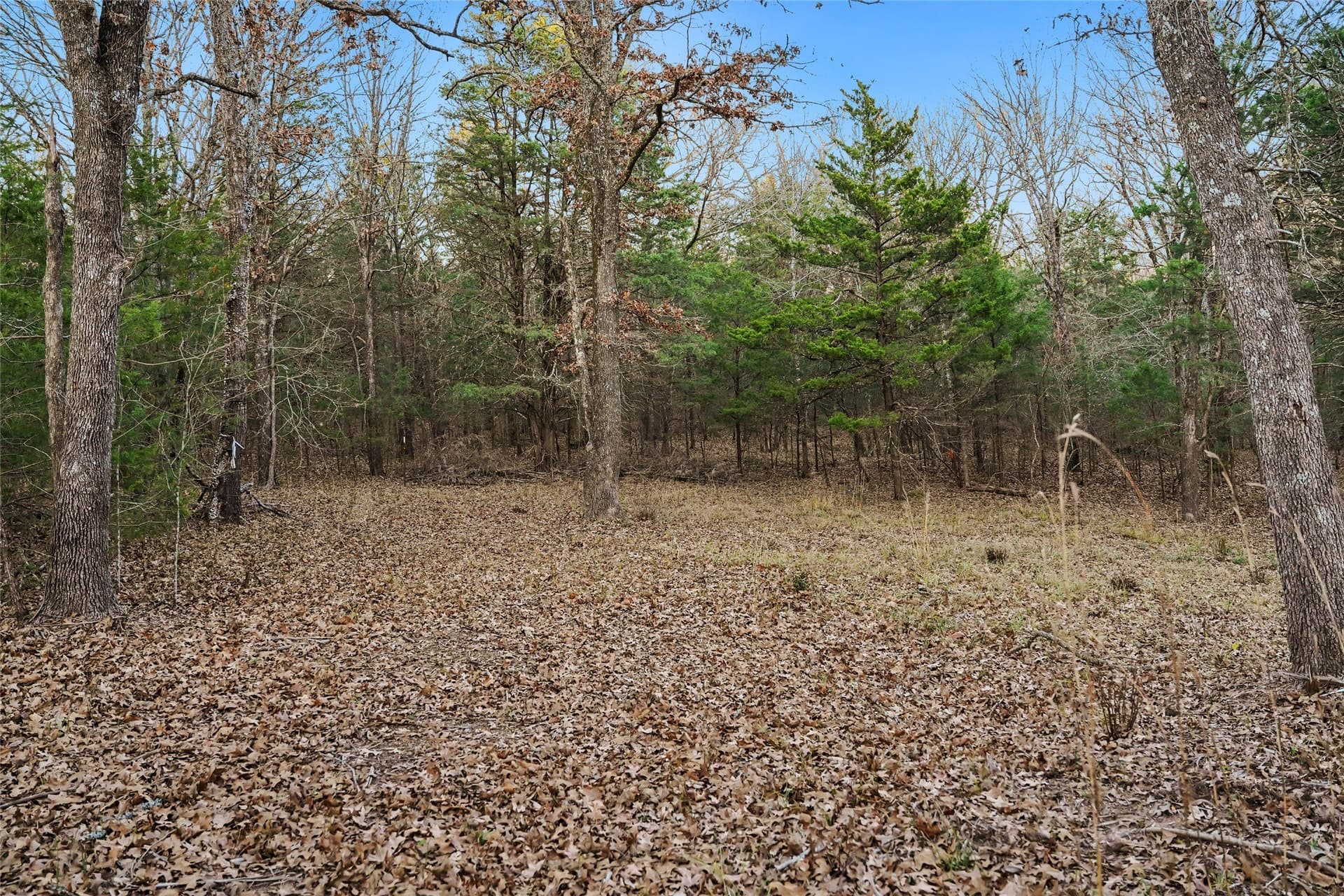 0.71 acres in Rains County - photo 8