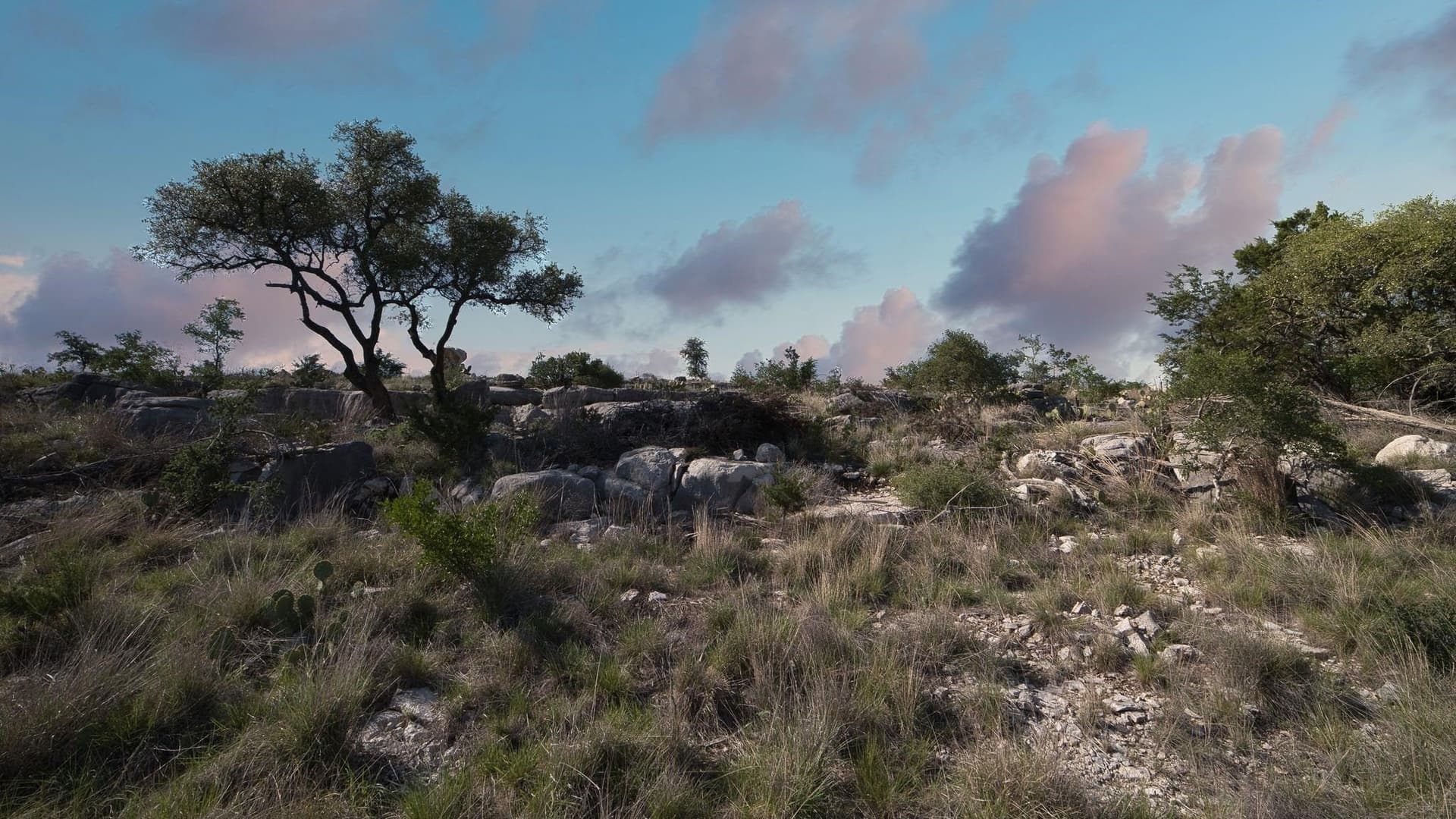 4.57 acres in Burnet County - photo 25