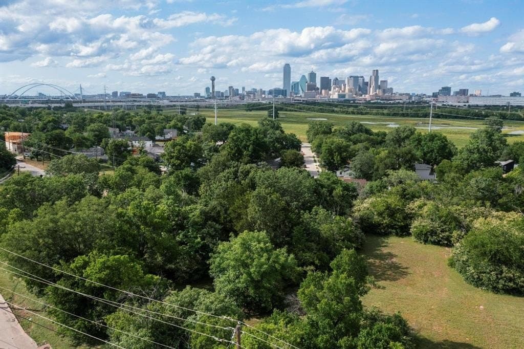 0.08 acres in Dallas County gallery image 2