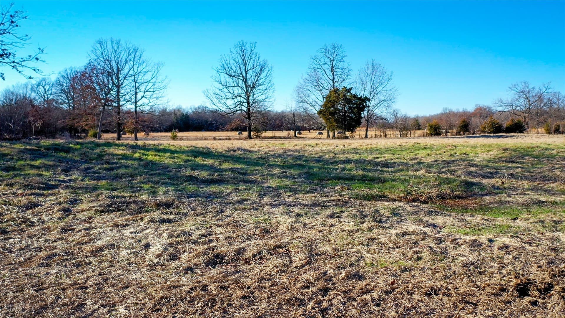 228.17 acres in Red River (TX) County featured view