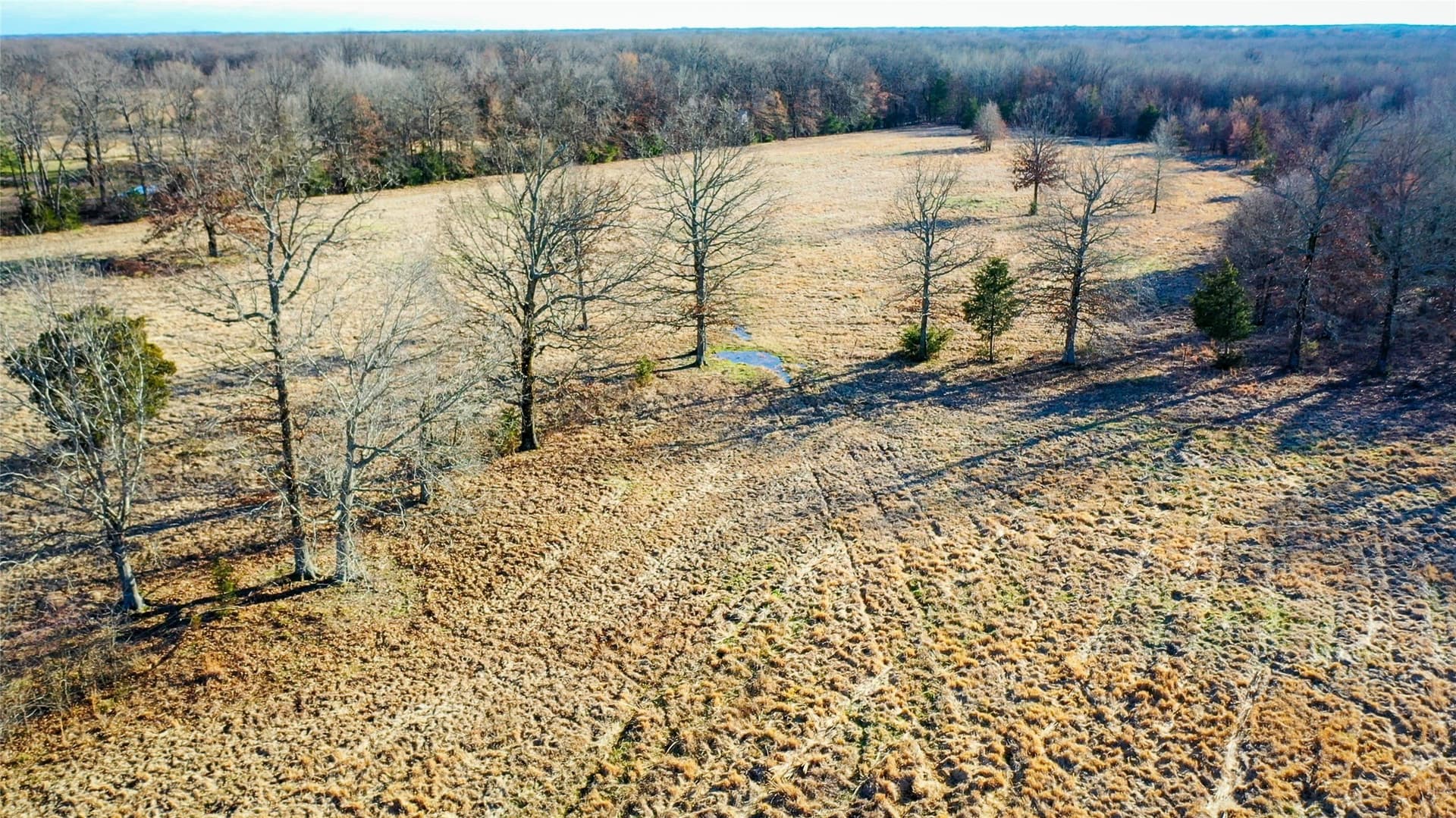 228.17 acres in Red River (TX) County - photo 21