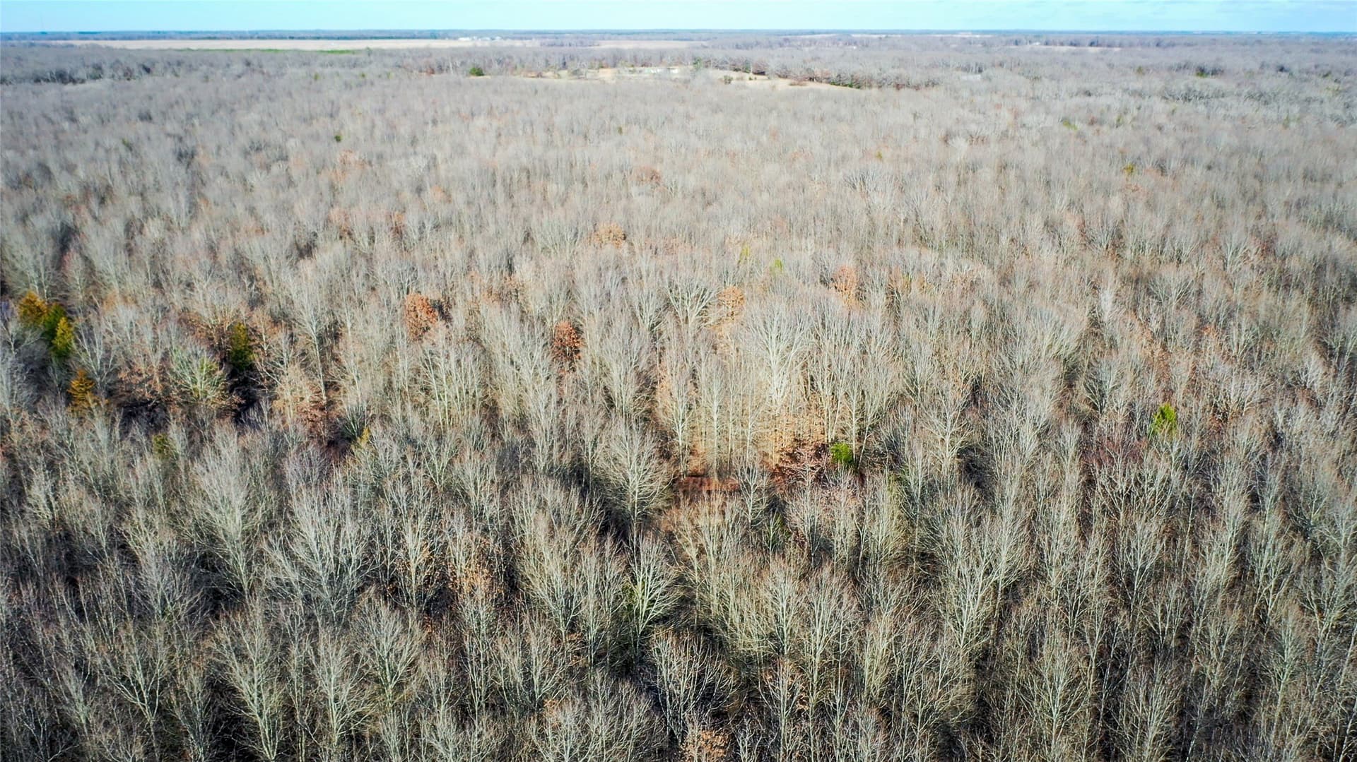 228.17 acres in Red River (TX) County - photo 15
