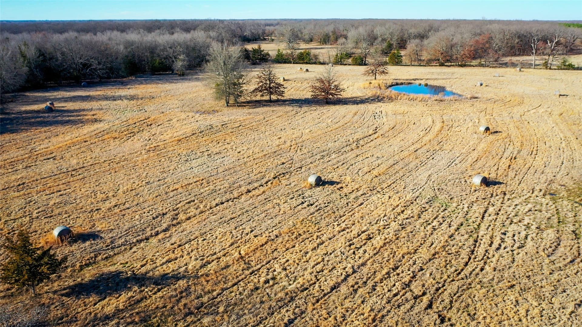 228.17 acres in Red River (TX) County - photo 25