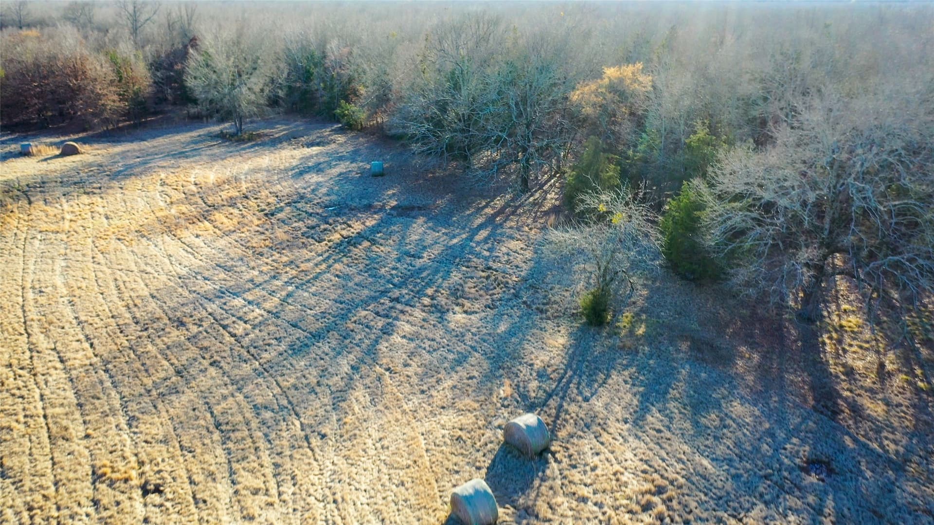 228.17 acres in Red River (TX) County - photo 10