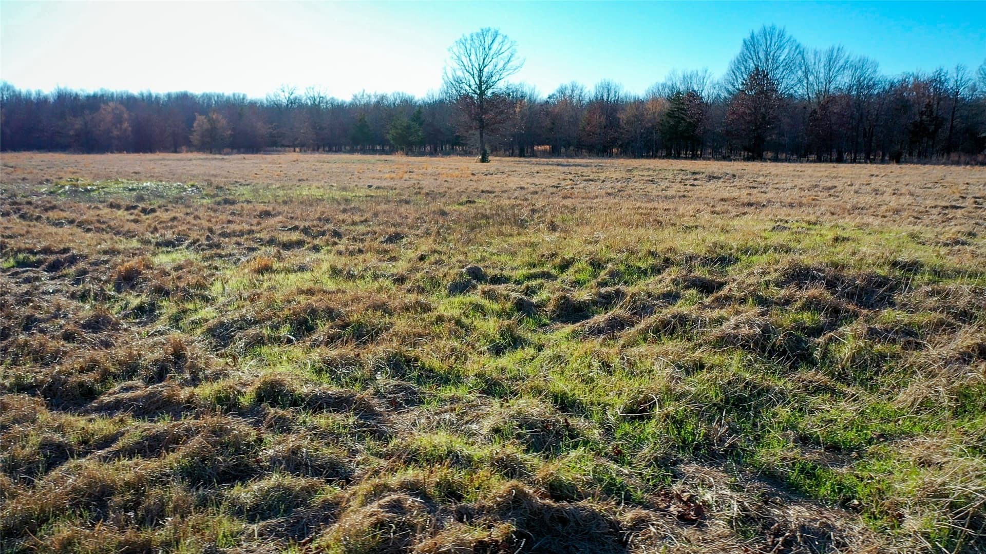 228.17 acres in Red River (TX) County gallery image 4