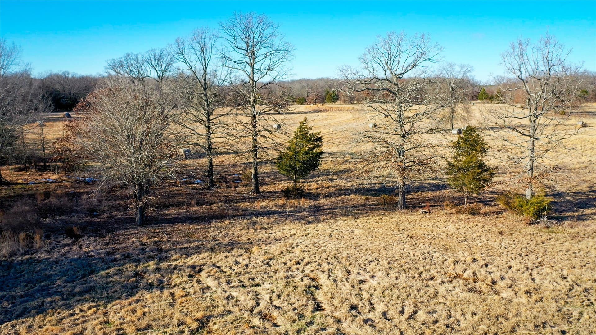 228.17 acres in Red River (TX) County - photo 24
