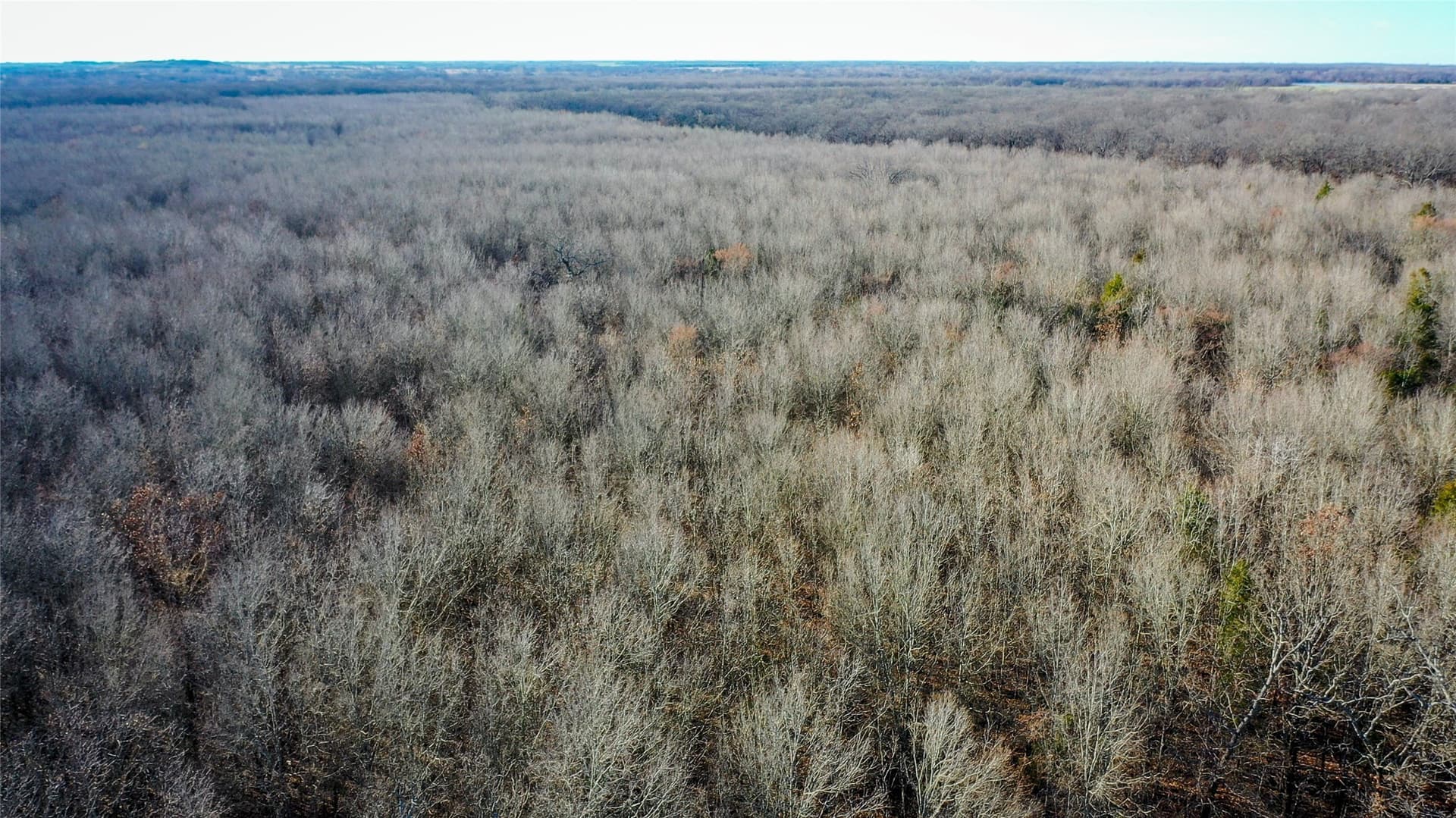 228.17 acres in Red River (TX) County - photo 29