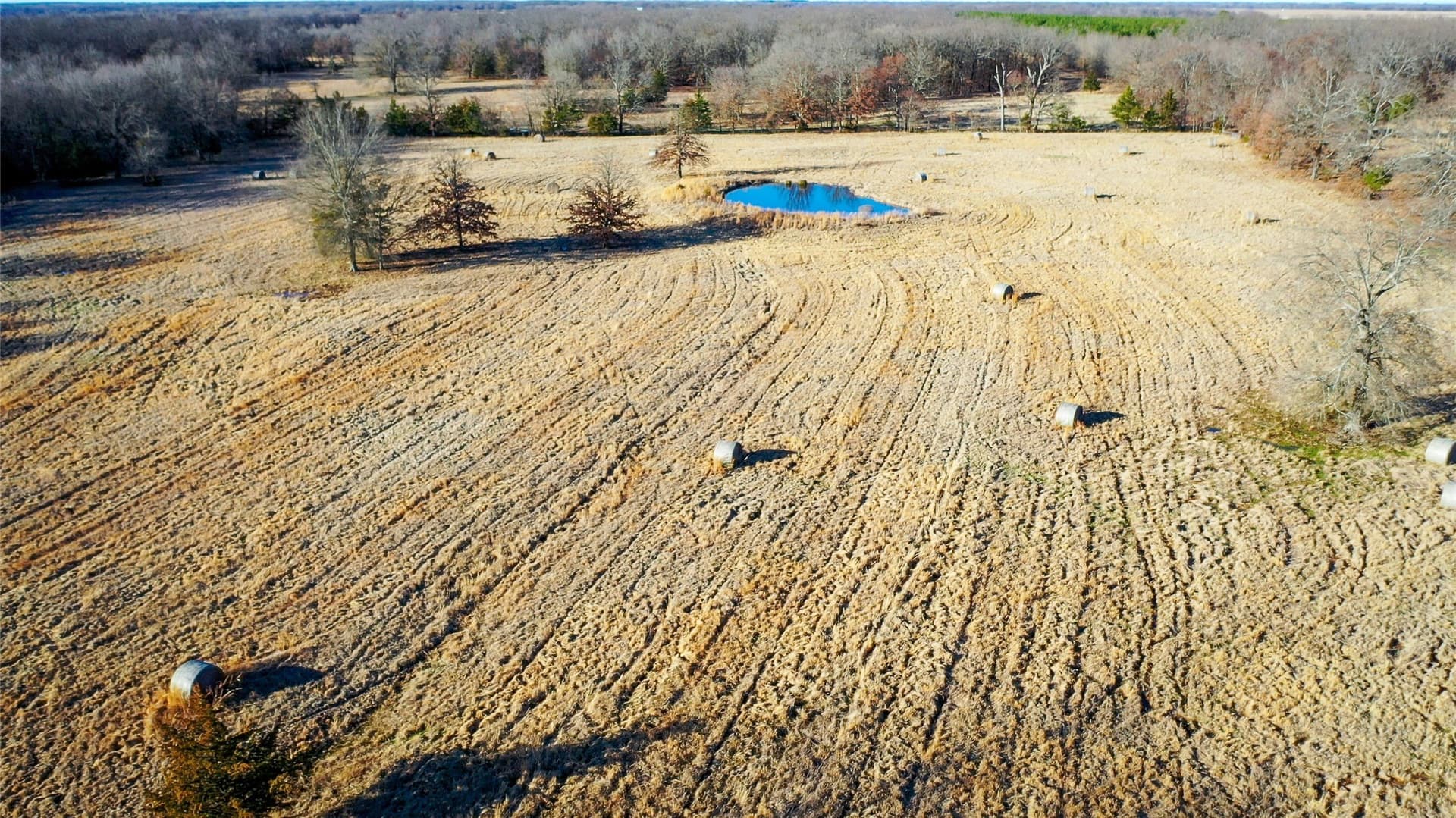228.17 acres in Red River (TX) County - photo 8