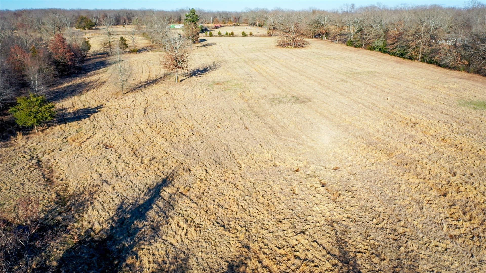228.17 acres in Red River (TX) County - photo 17