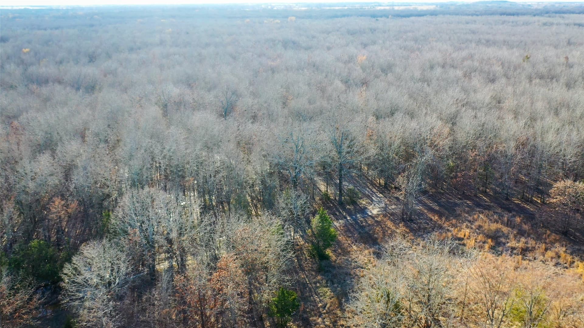 228.17 acres in Red River (TX) County - photo 23