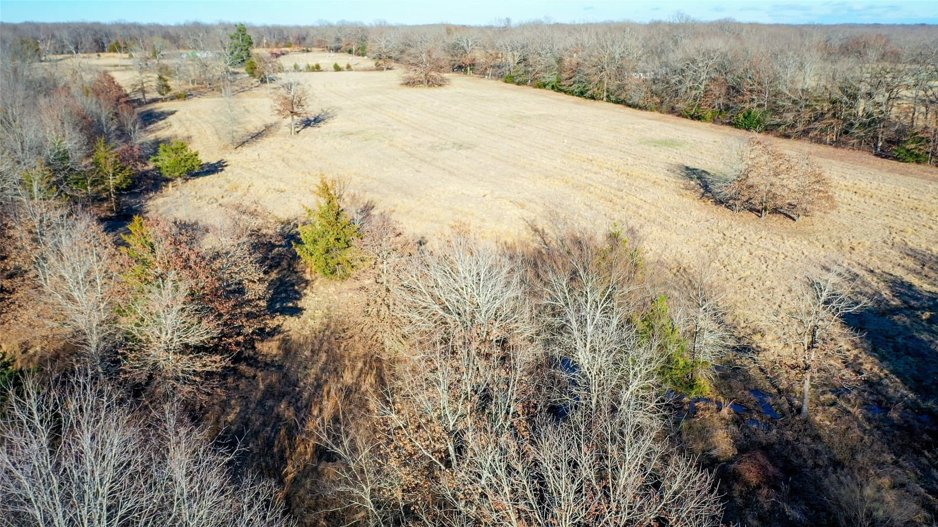 228.17 acres in Red River (TX) County - photo 16