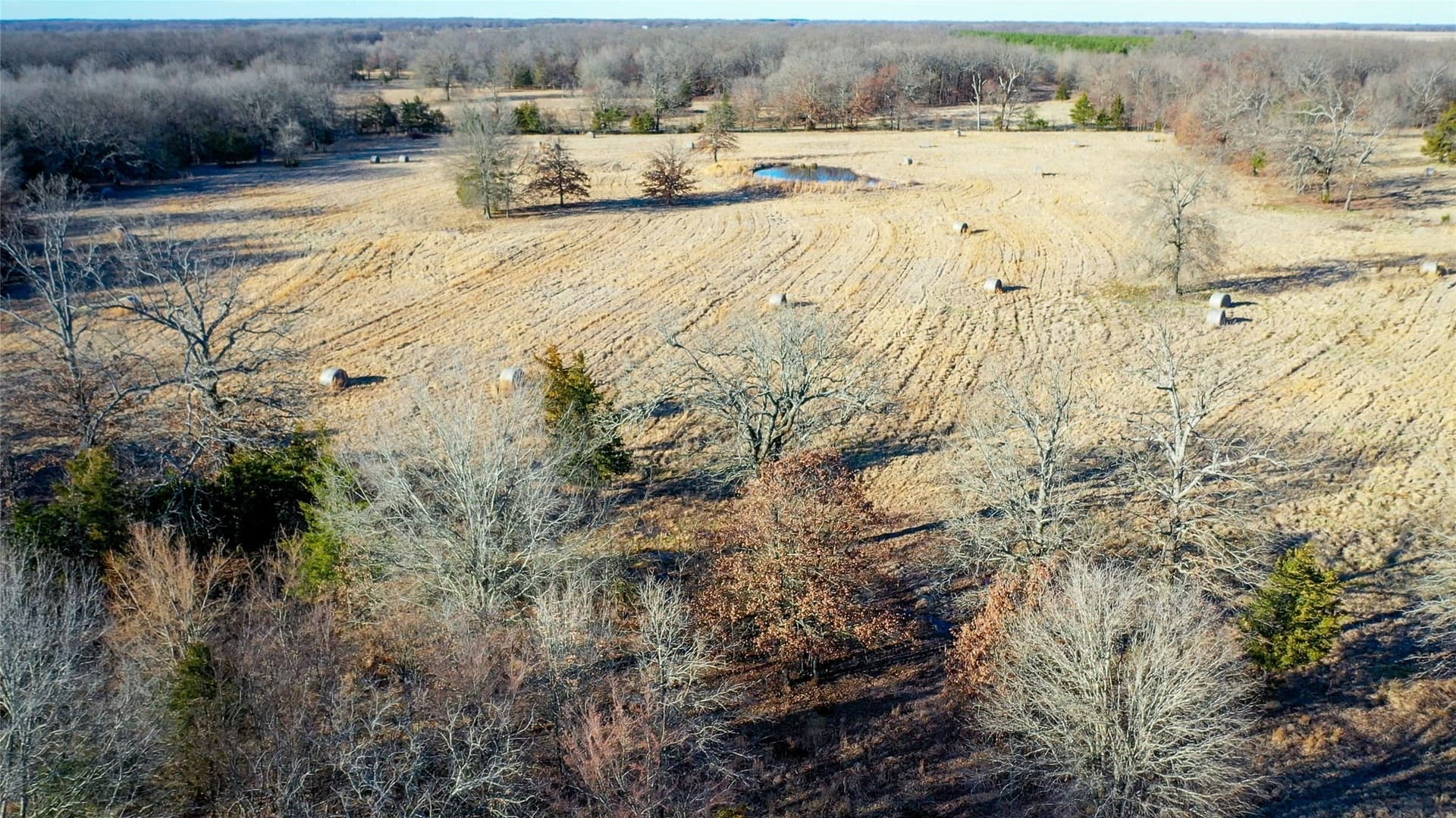 228.17 acres in Red River (TX) County - photo 7