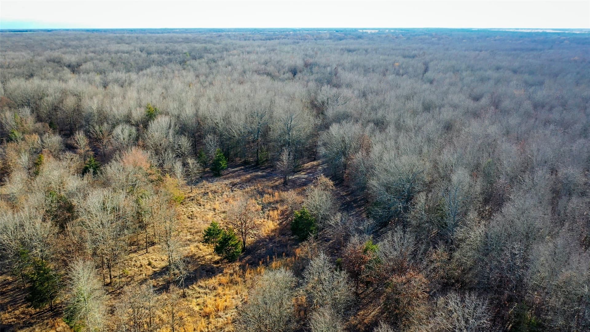 228.17 acres in Red River (TX) County - photo 28