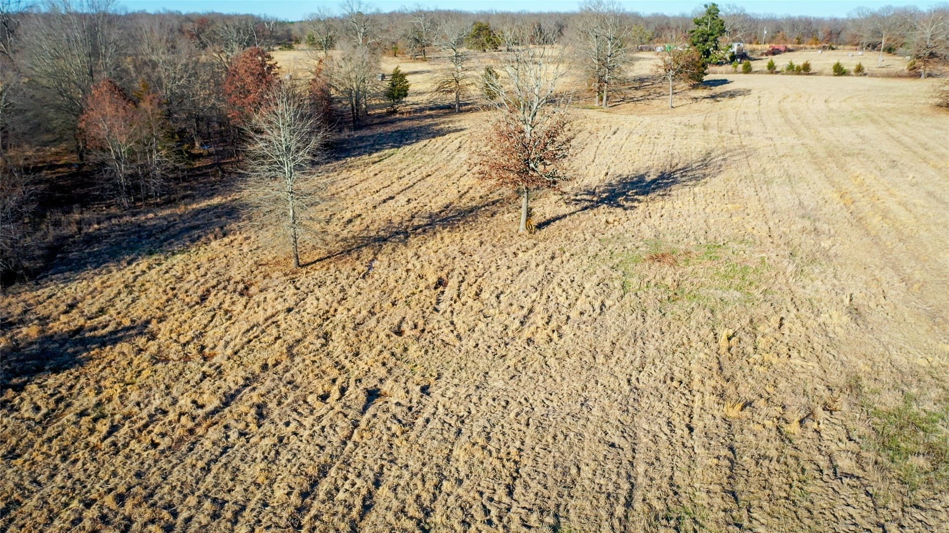 228.17 acres in Red River (TX) County - photo 6