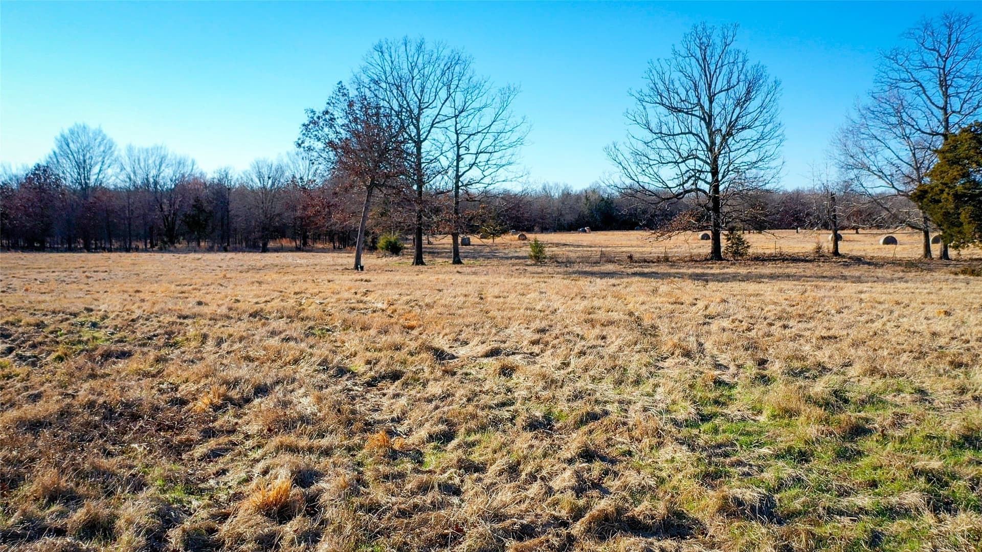 228.17 acres in Red River (TX) County - photo 19