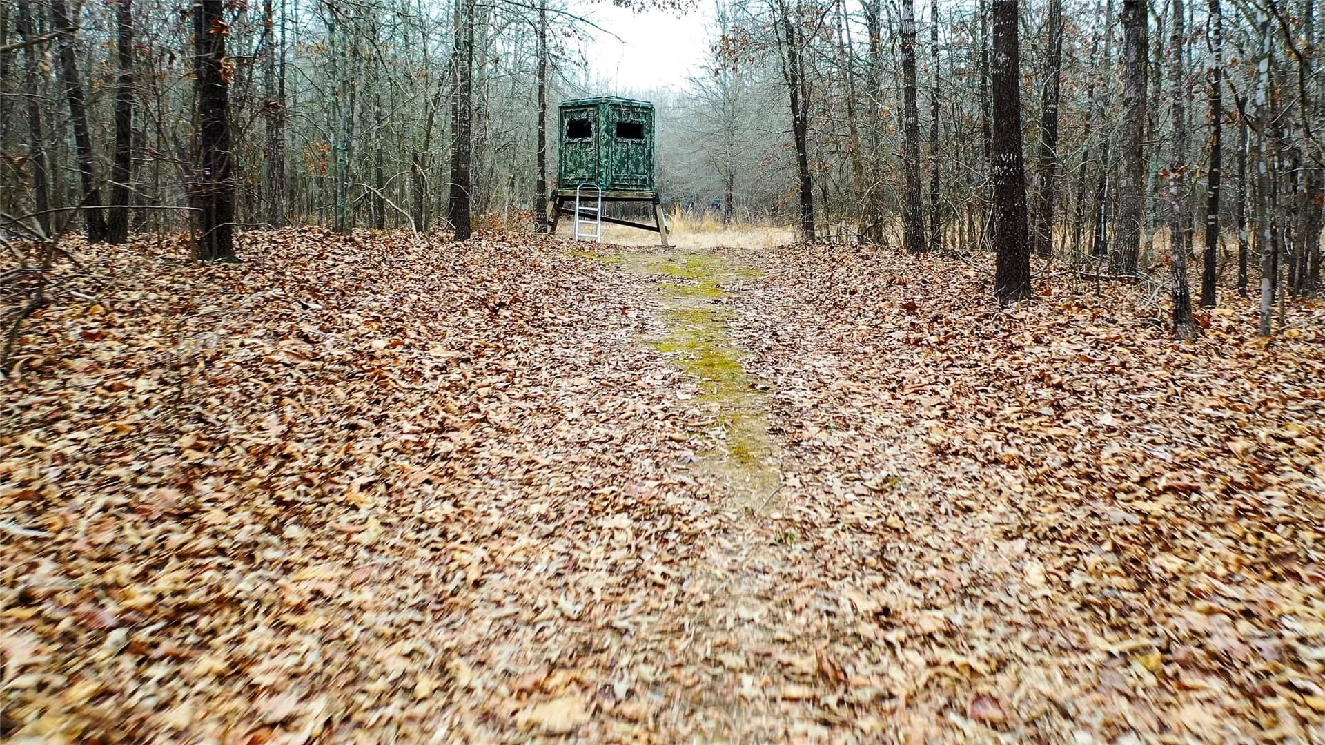 228.17 acres in Red River (TX) County - photo 36