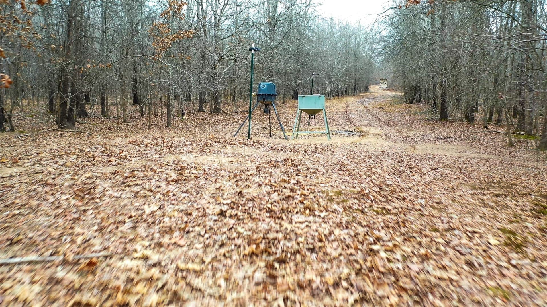 228.17 acres in Red River (TX) County - photo 33