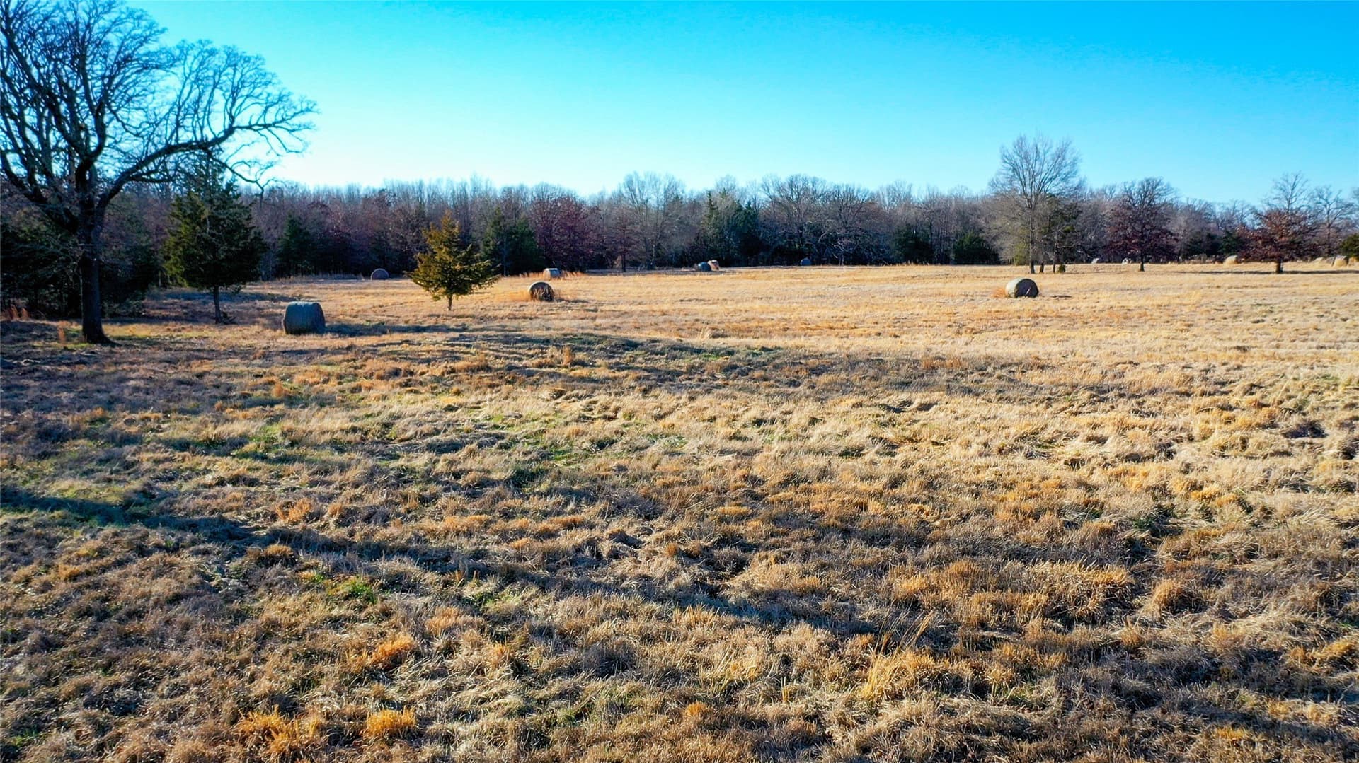 228.17 acres in Red River (TX) County - photo 20