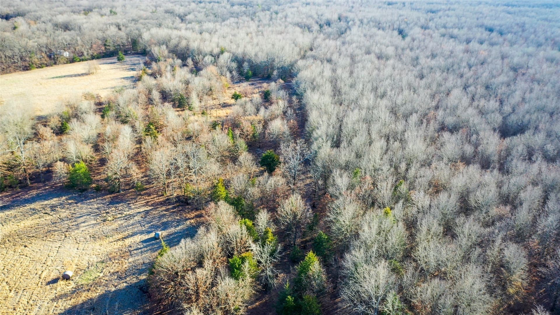 228.17 acres in Red River (TX) County - photo 11