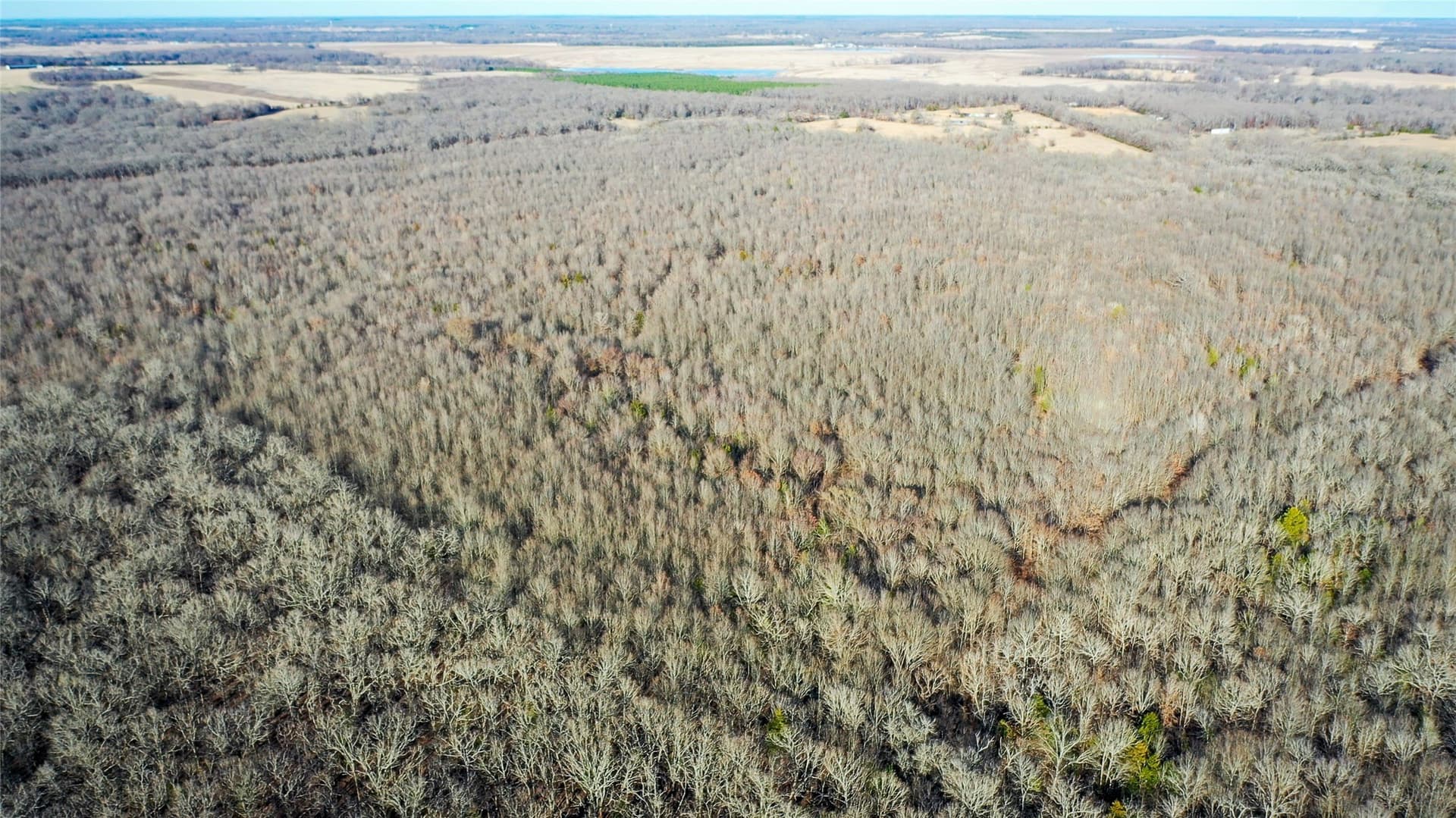228.17 acres in Red River (TX) County - photo 13