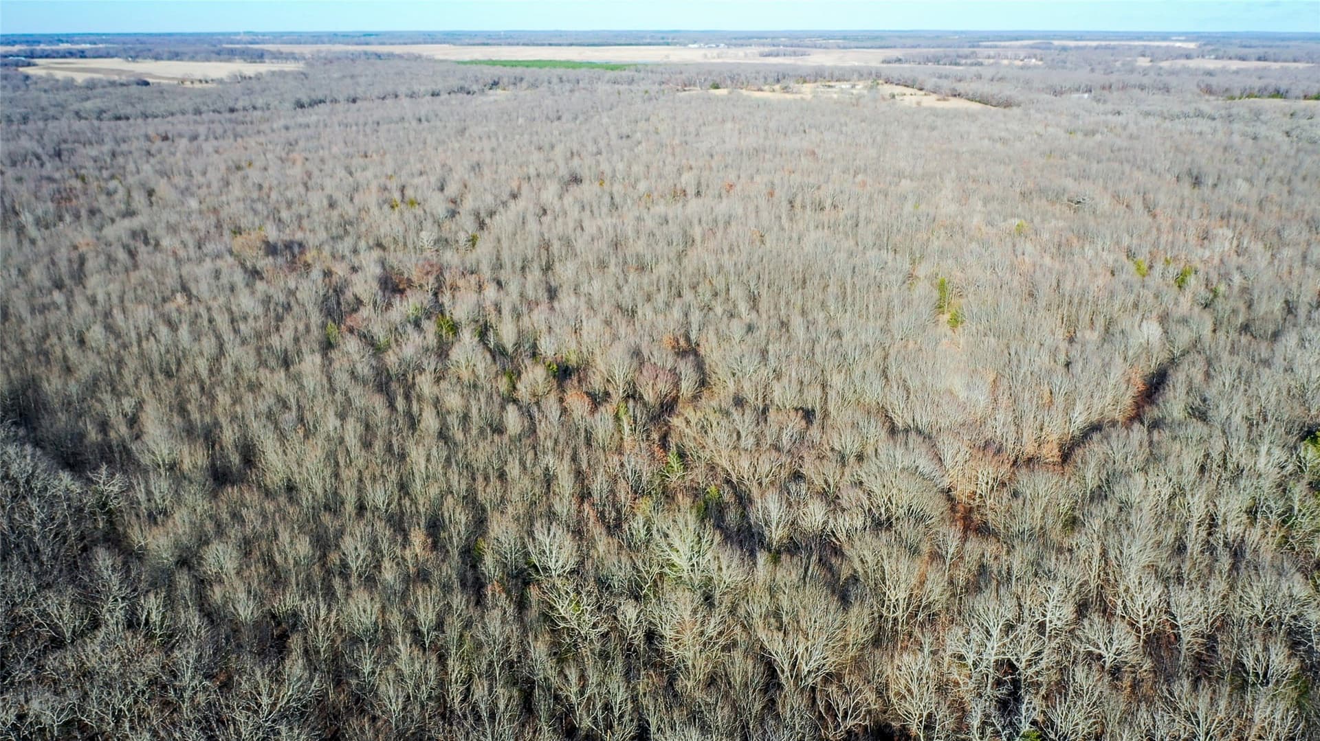 228.17 acres in Red River (TX) County - photo 14